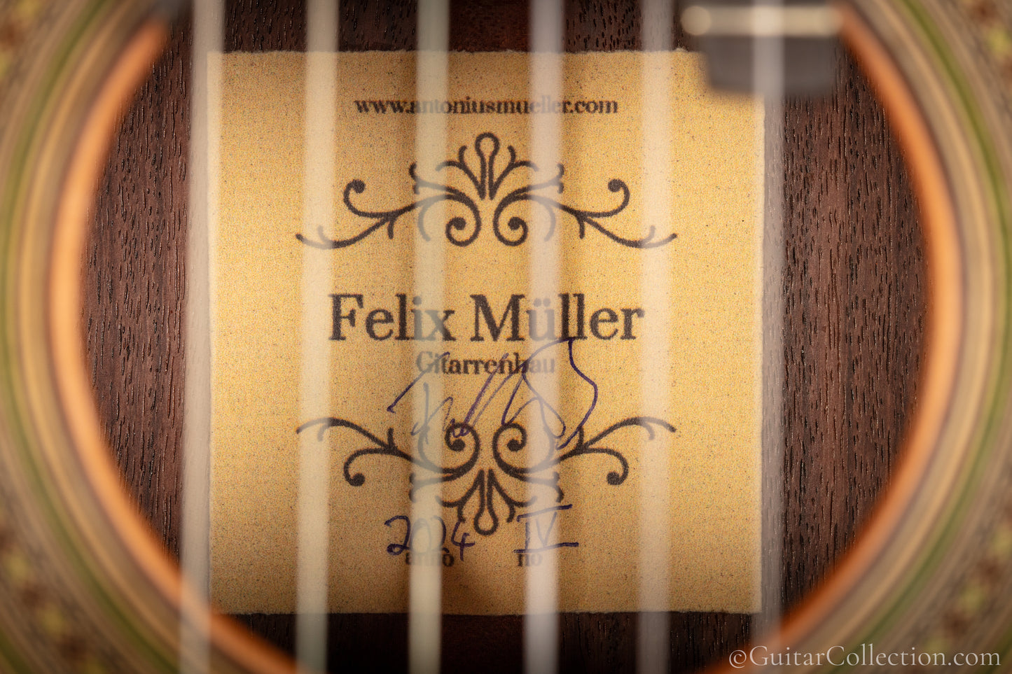 Felix Muller 2024 640mm