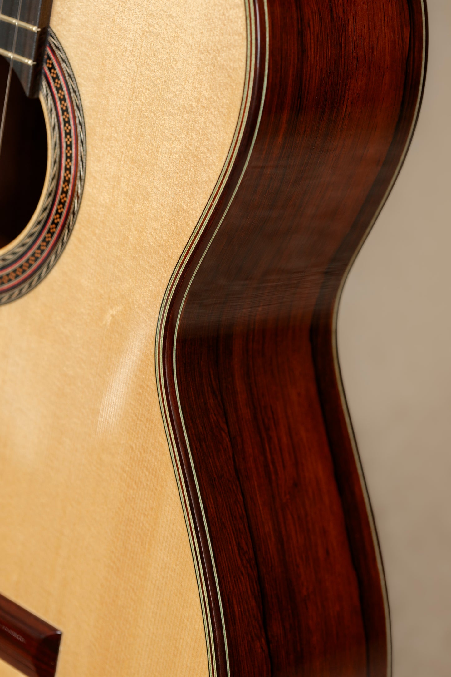Kathrin Hauser Spruce/Brazilian Rosewood 2024