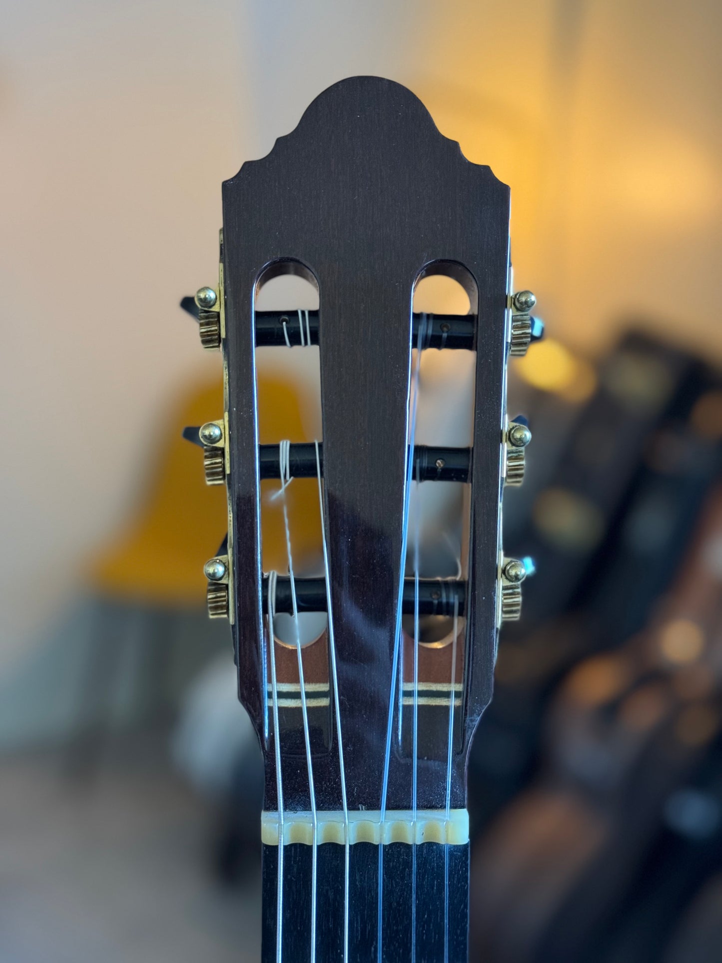 Antonius Müller Cedar Doubletop | 2019 Classical Guitar