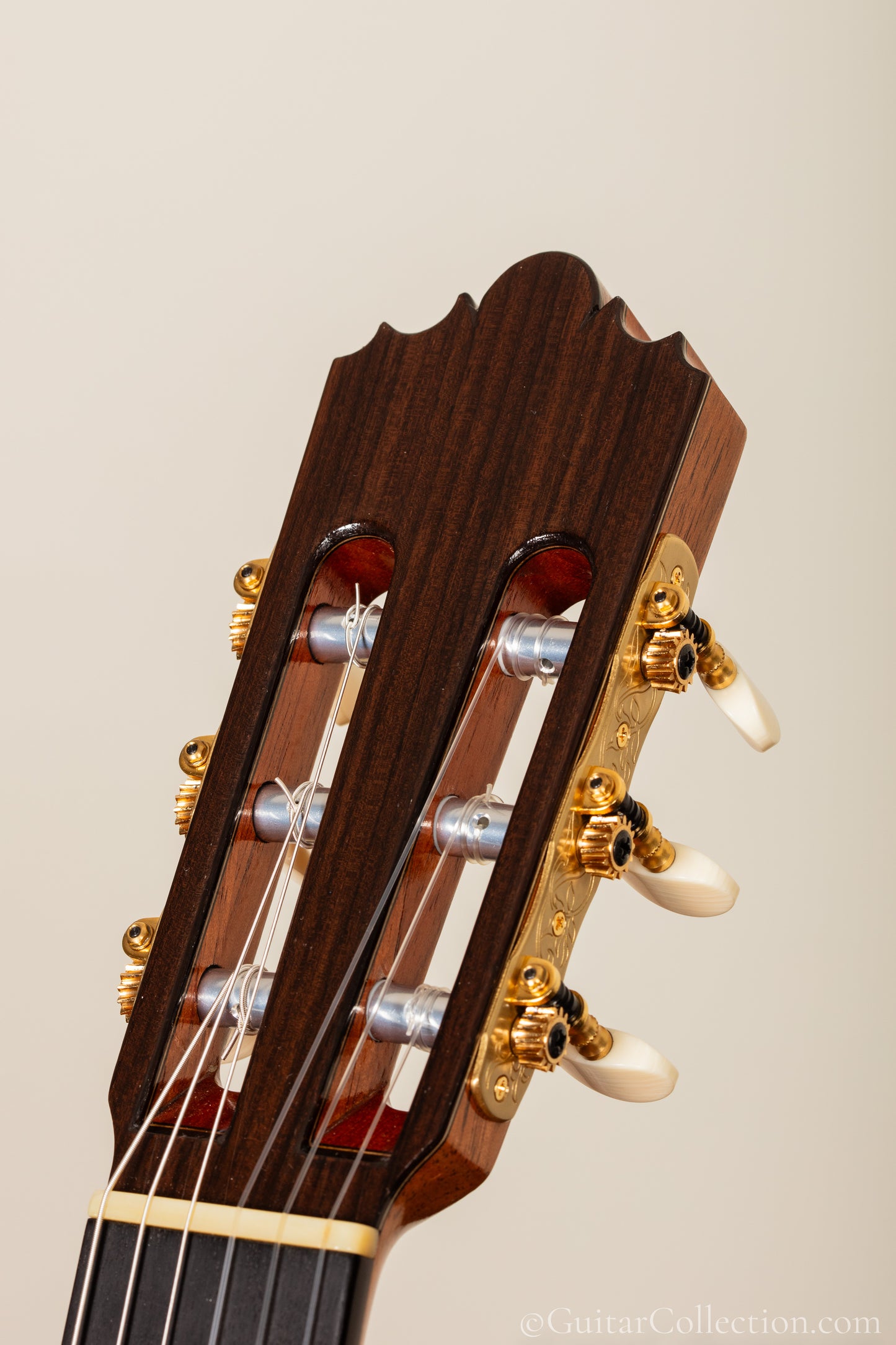 Saers M900 doubletop cocobolo