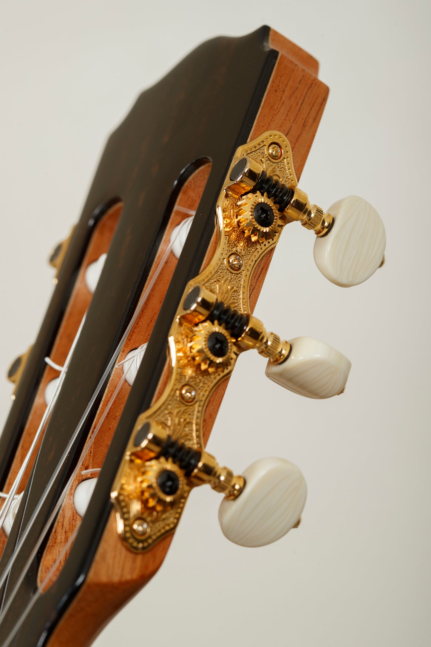 Daniel Stark "Española II" 640 - Cedar/Wenge - NEW