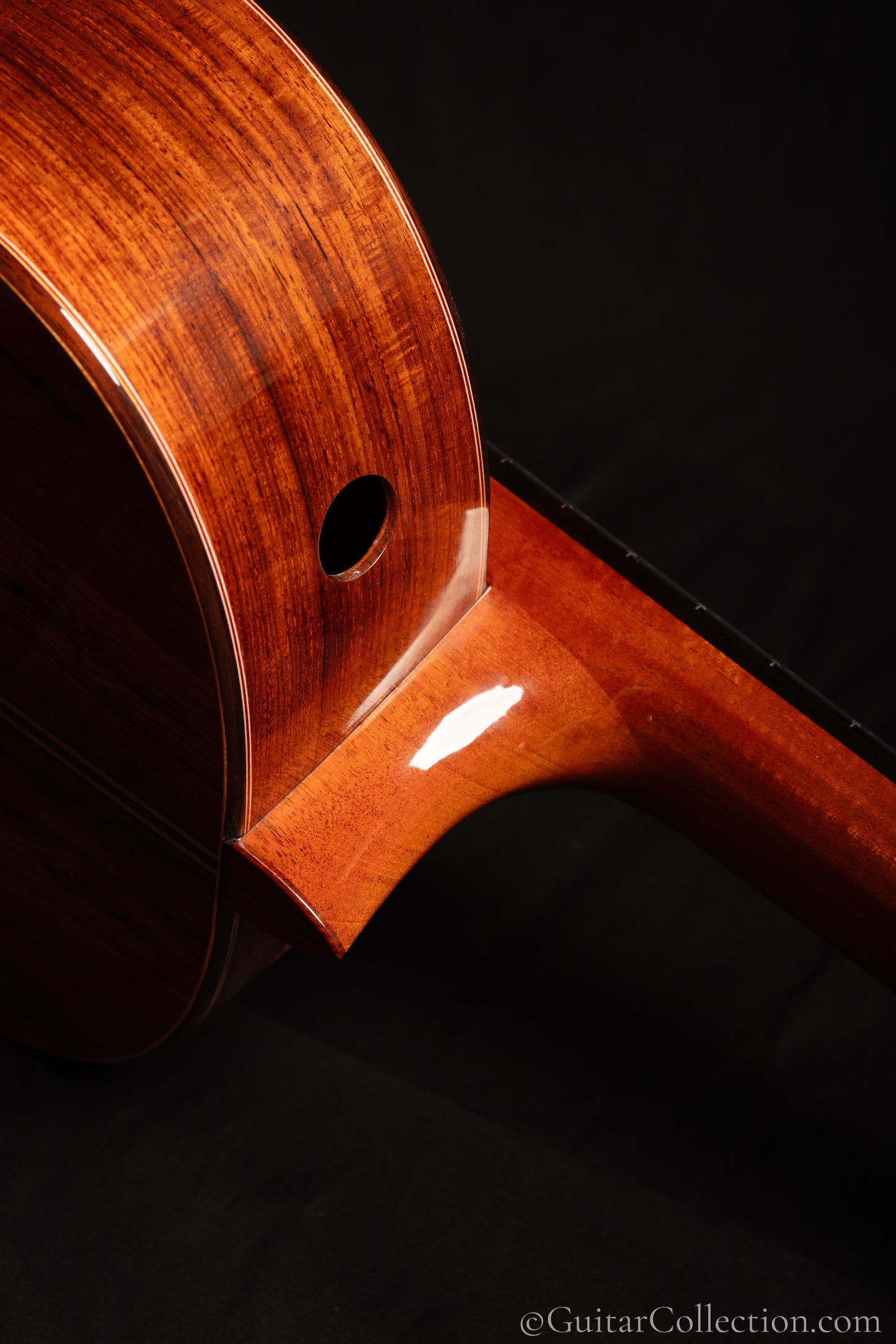 Steven Walter 2026 Cedar/Guatemalan Rosewood