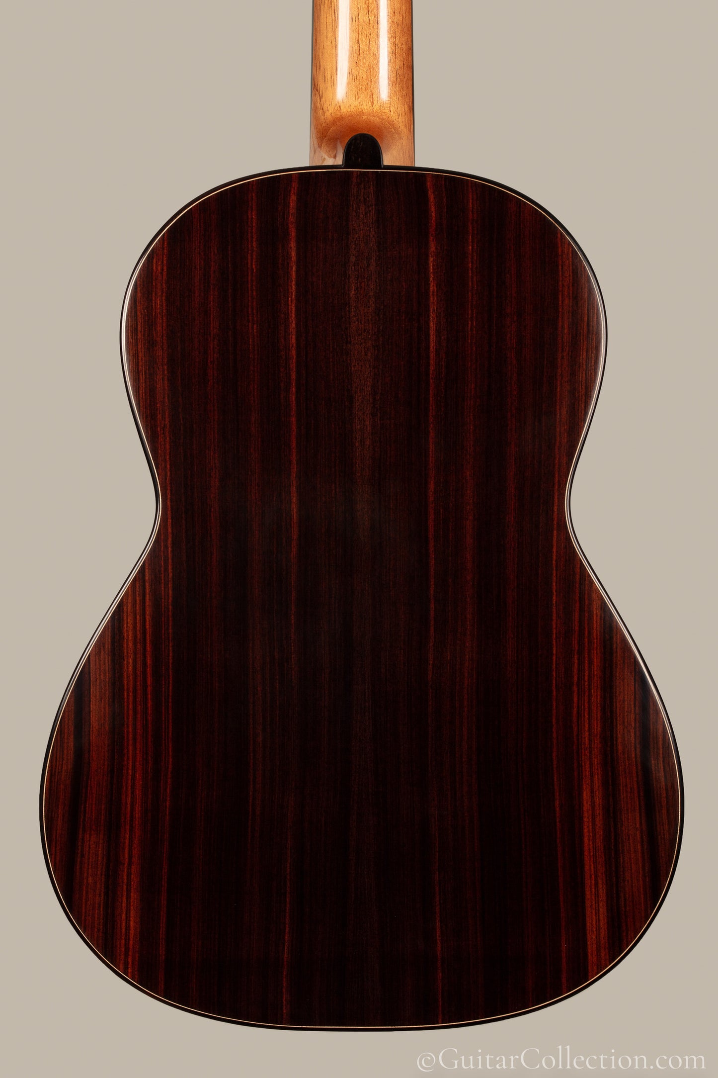 Tamara Stahl 2026 Cedar
