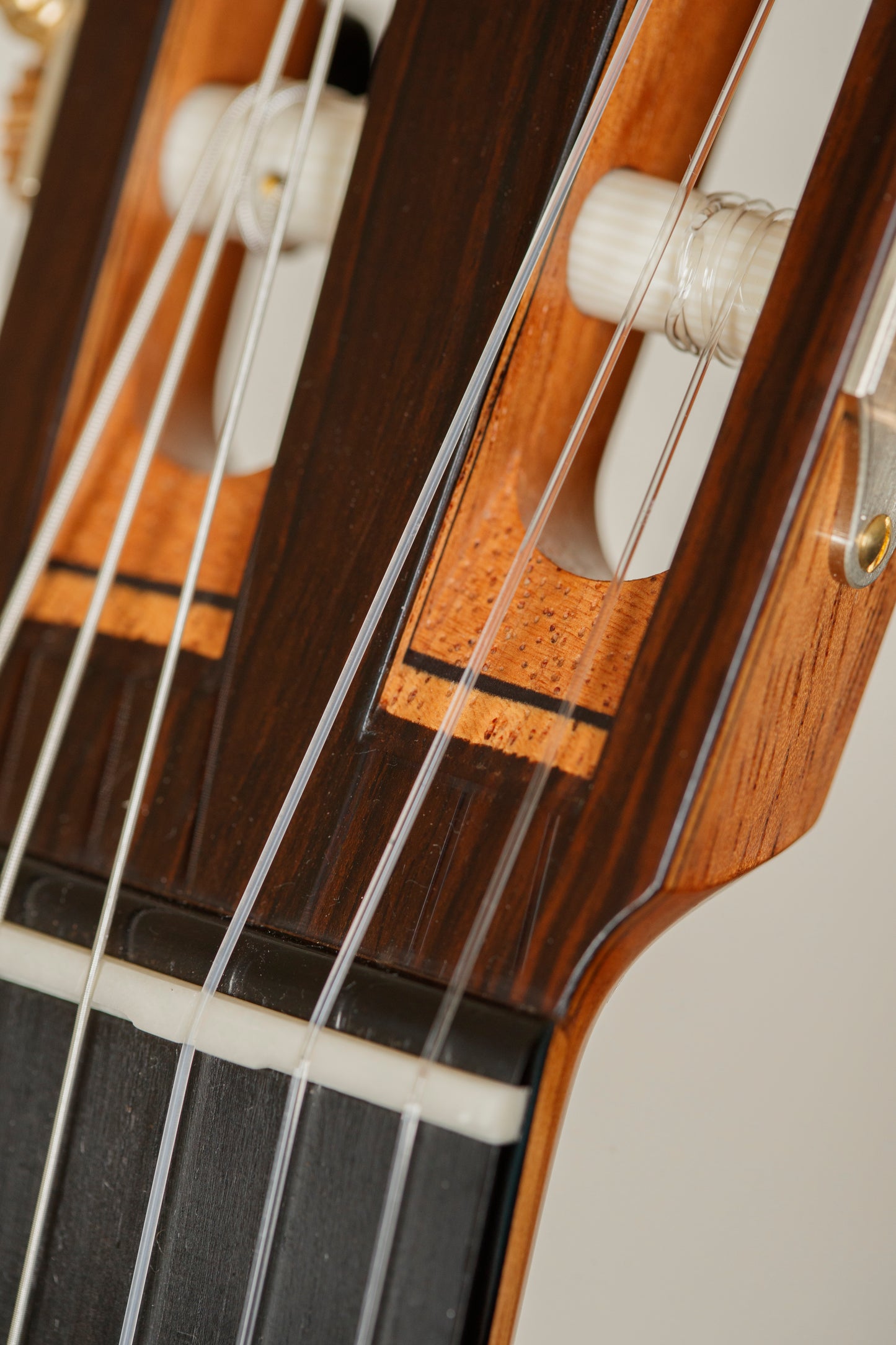 Andreas Kirschner 2025 – Cedar Doubletop, Indian Rosewood