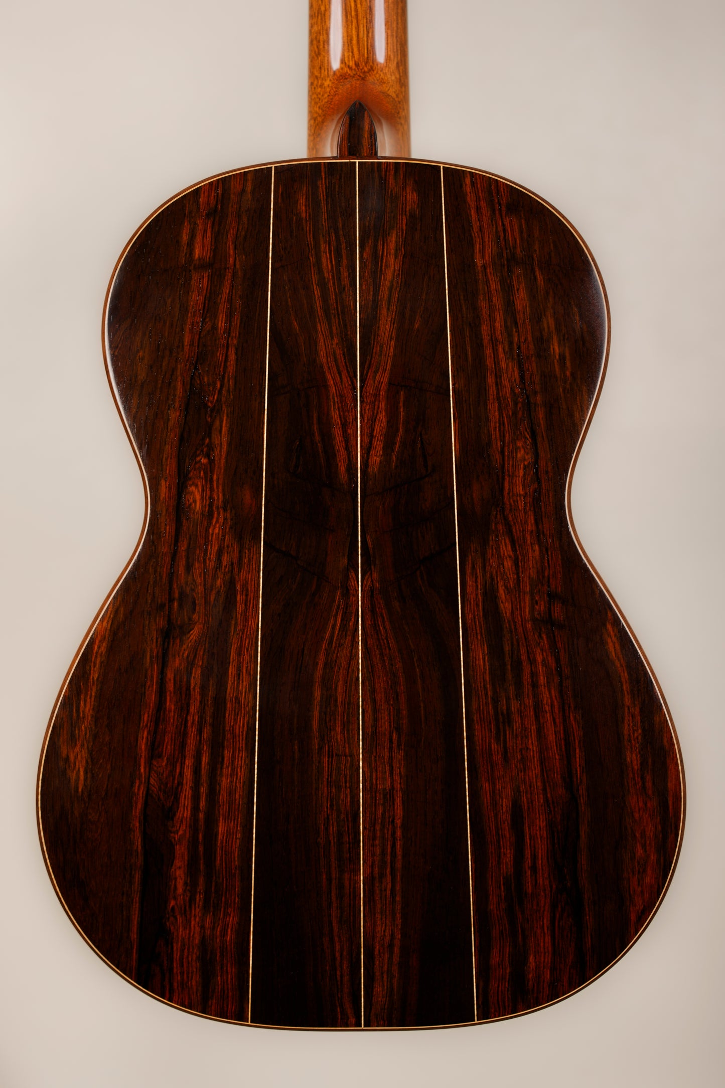 Steven Walter – 2024 Spruce / Brazilian Rosewood Classical Guitar