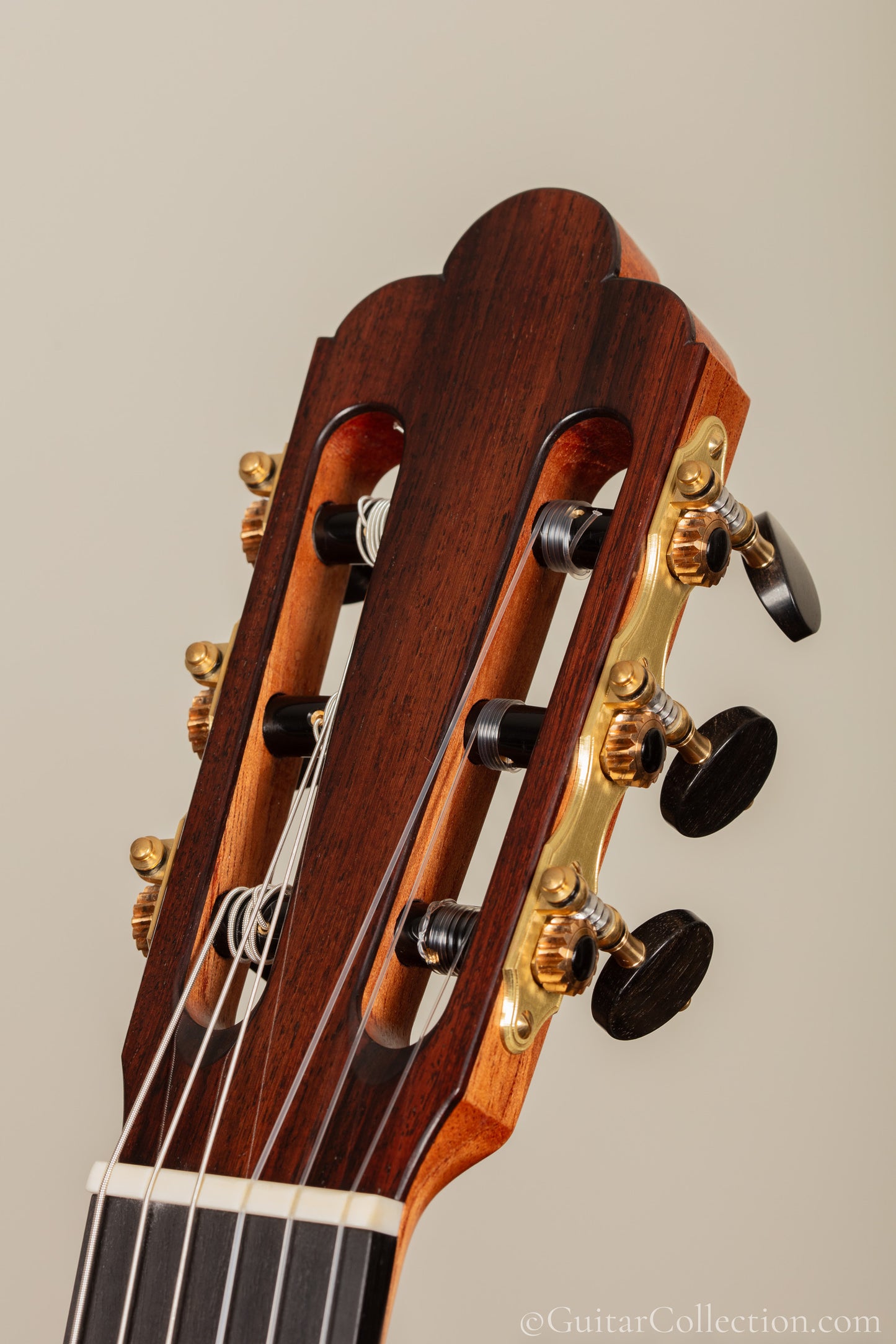 Giancarlo Nannoni 2026 Spruce "Maia"