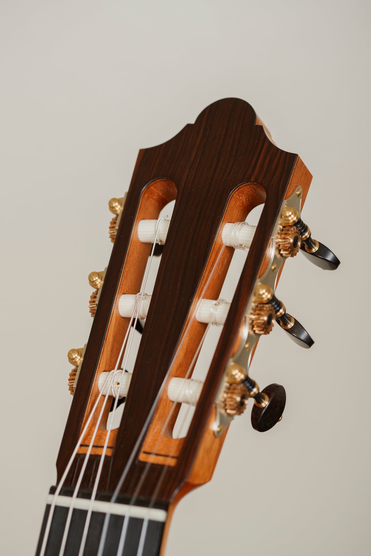 Andreas Kirschner 2025 – Cedar Doubletop, Indian Rosewood