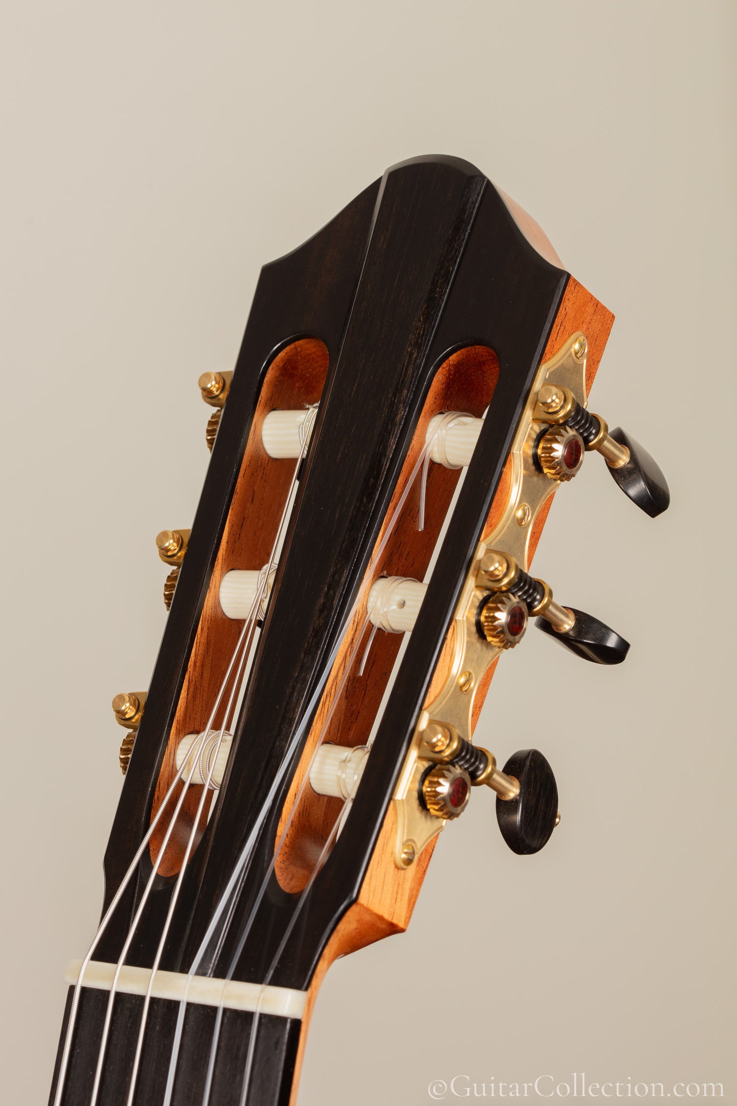Tamara Stahl 2026 Cedar