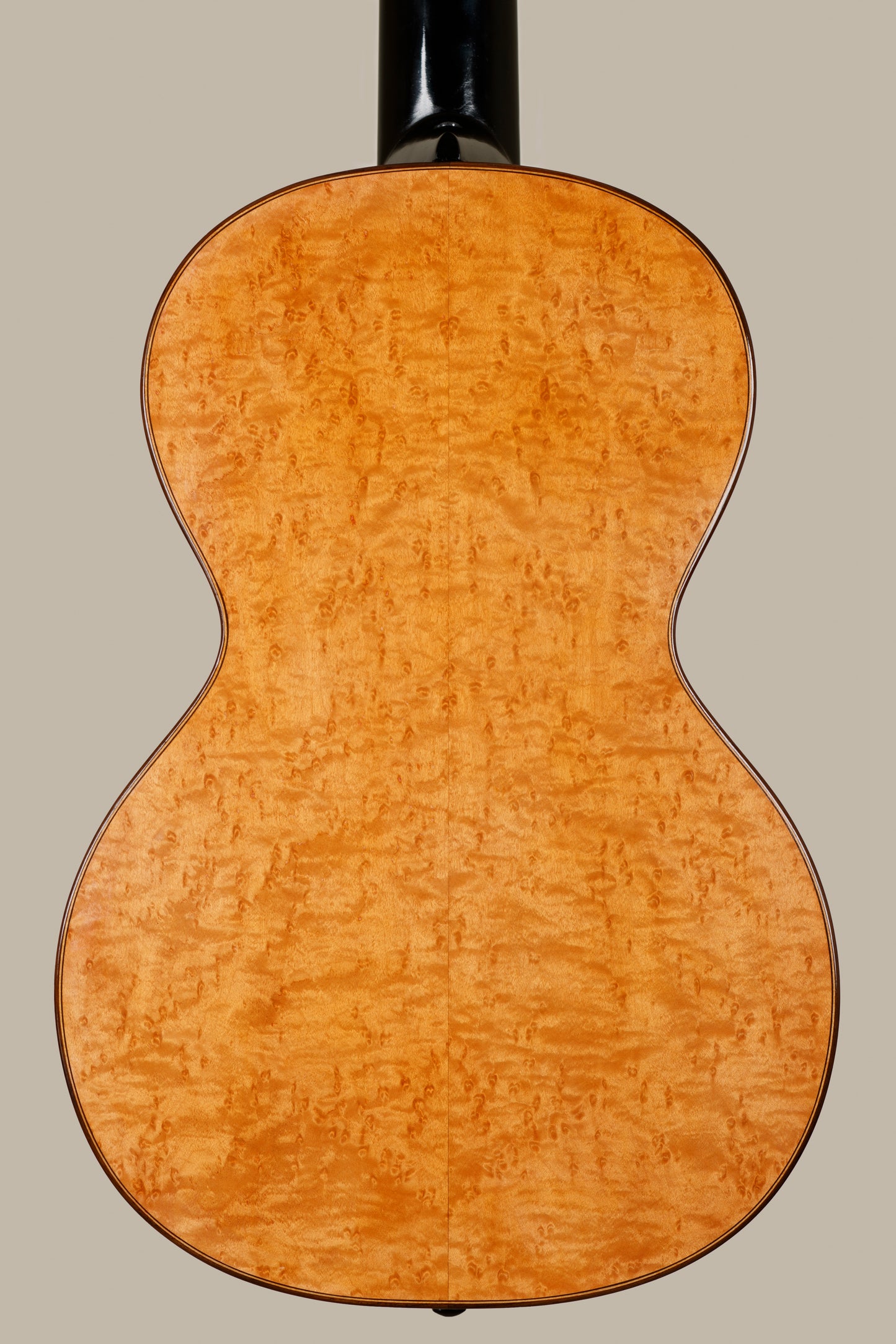 Altamira Vienna 2025 Spruce / Maple