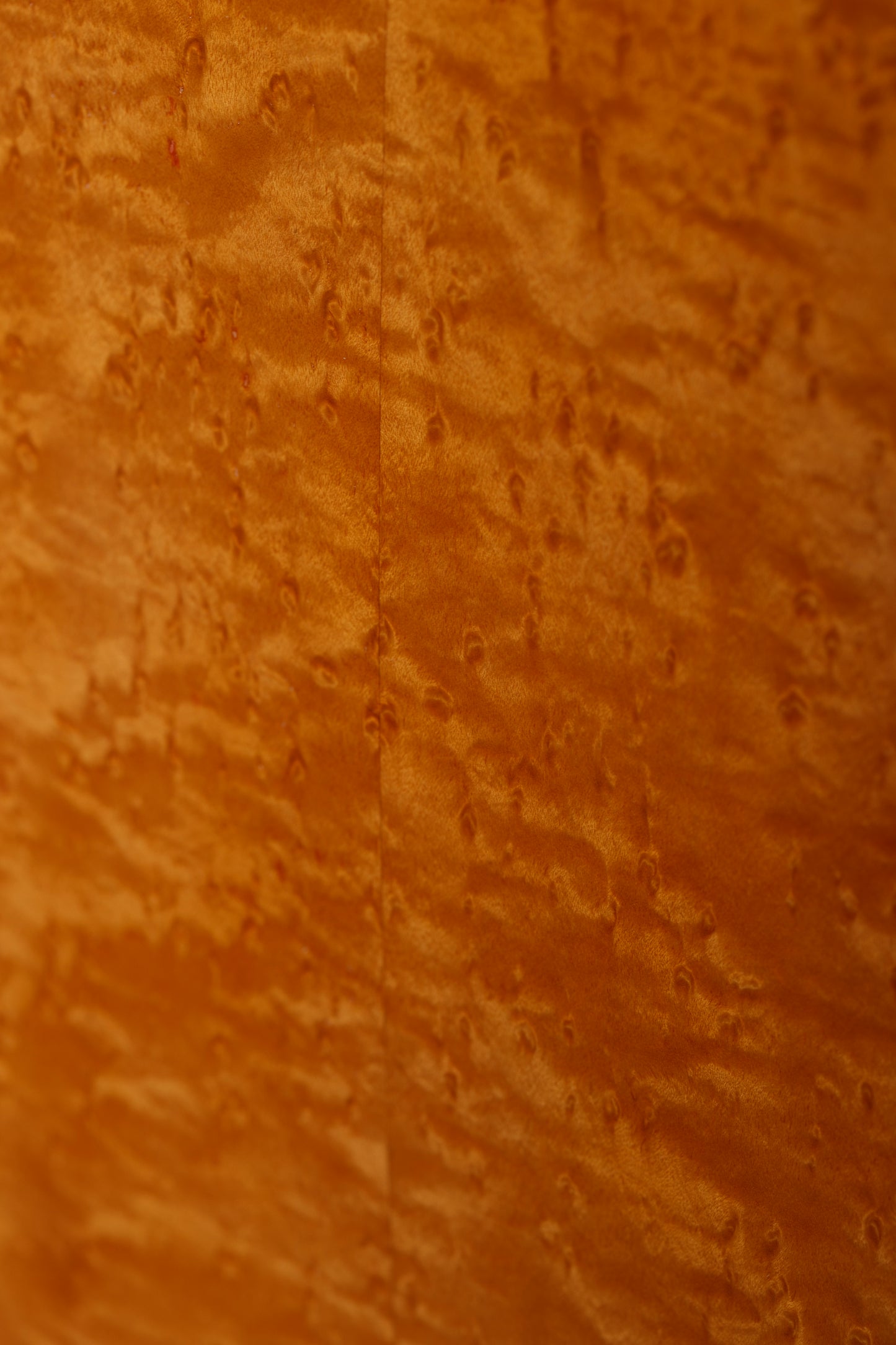 Altamira Vienna 2025 Spruce / Maple