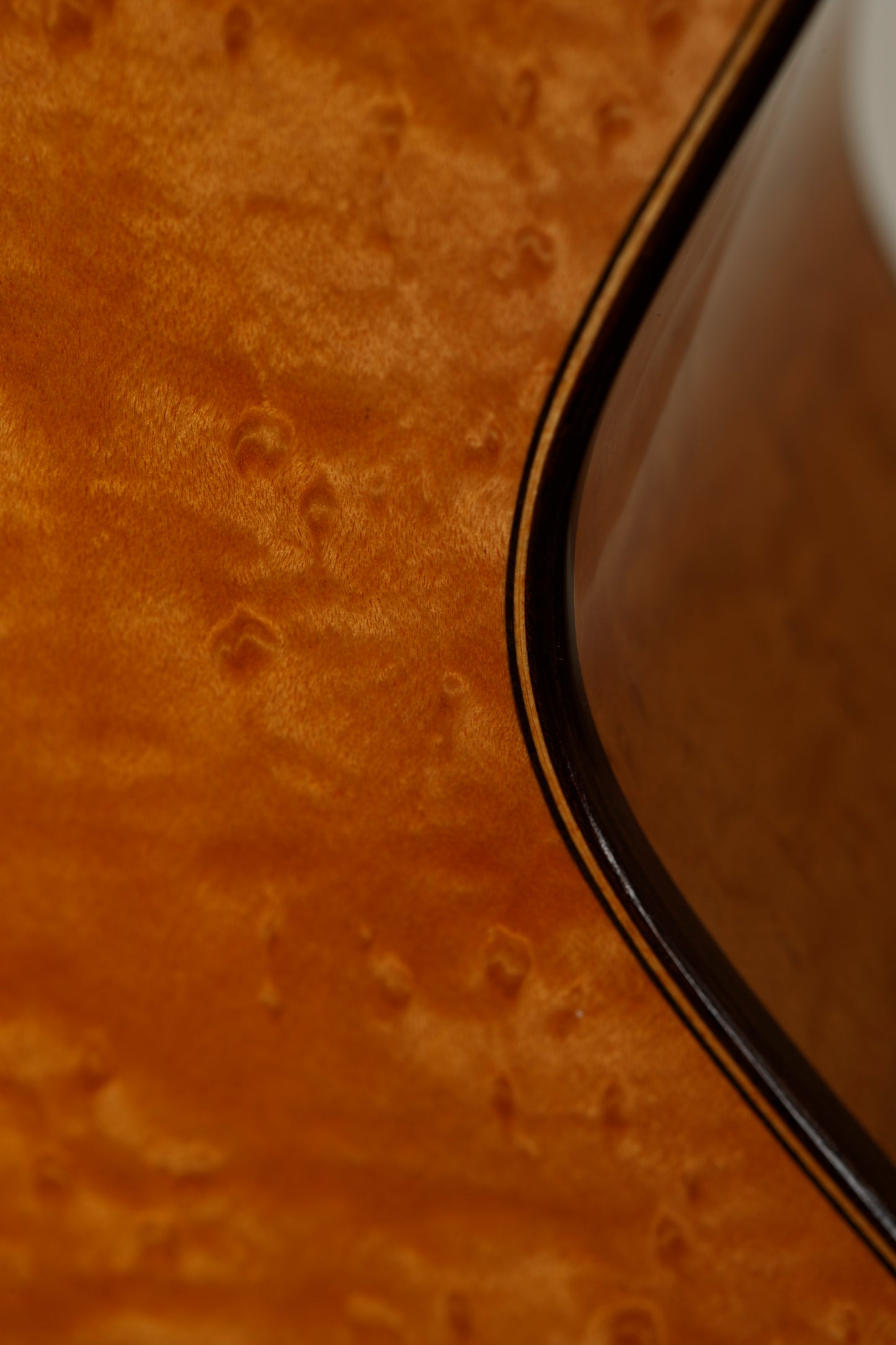 Altamira Vienna 2025 Spruce / Maple