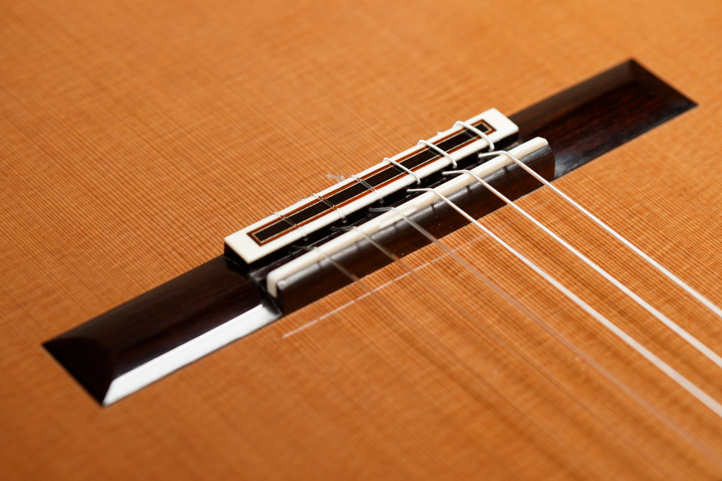 Andreas Kirschner 2025 – Cedar Doubletop, Indian Rosewood