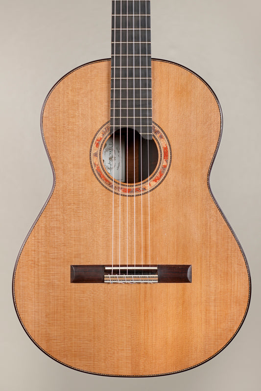 Dake Traphagen Cedar/Brazilian Doubletop | 2017