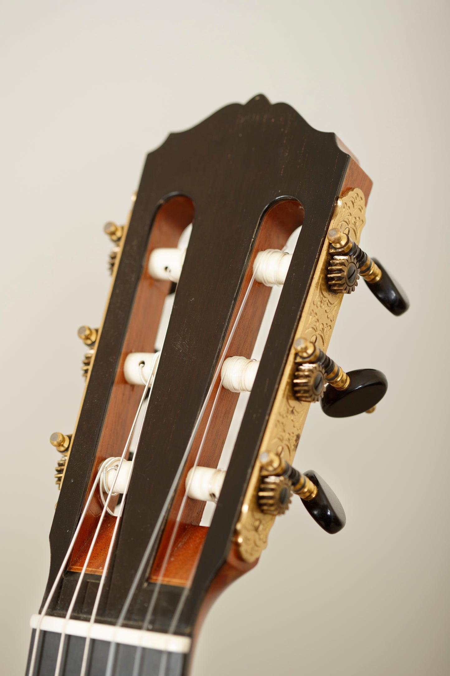 Matthias Dammann Cedar/Brazilian 1994