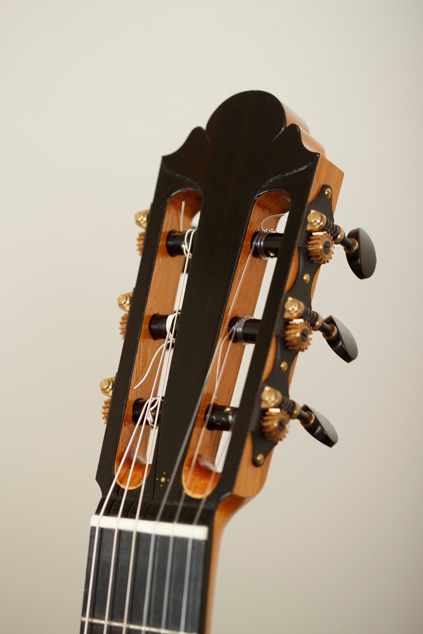 Jakob Lebisch Cedar Doubletop | 2019
