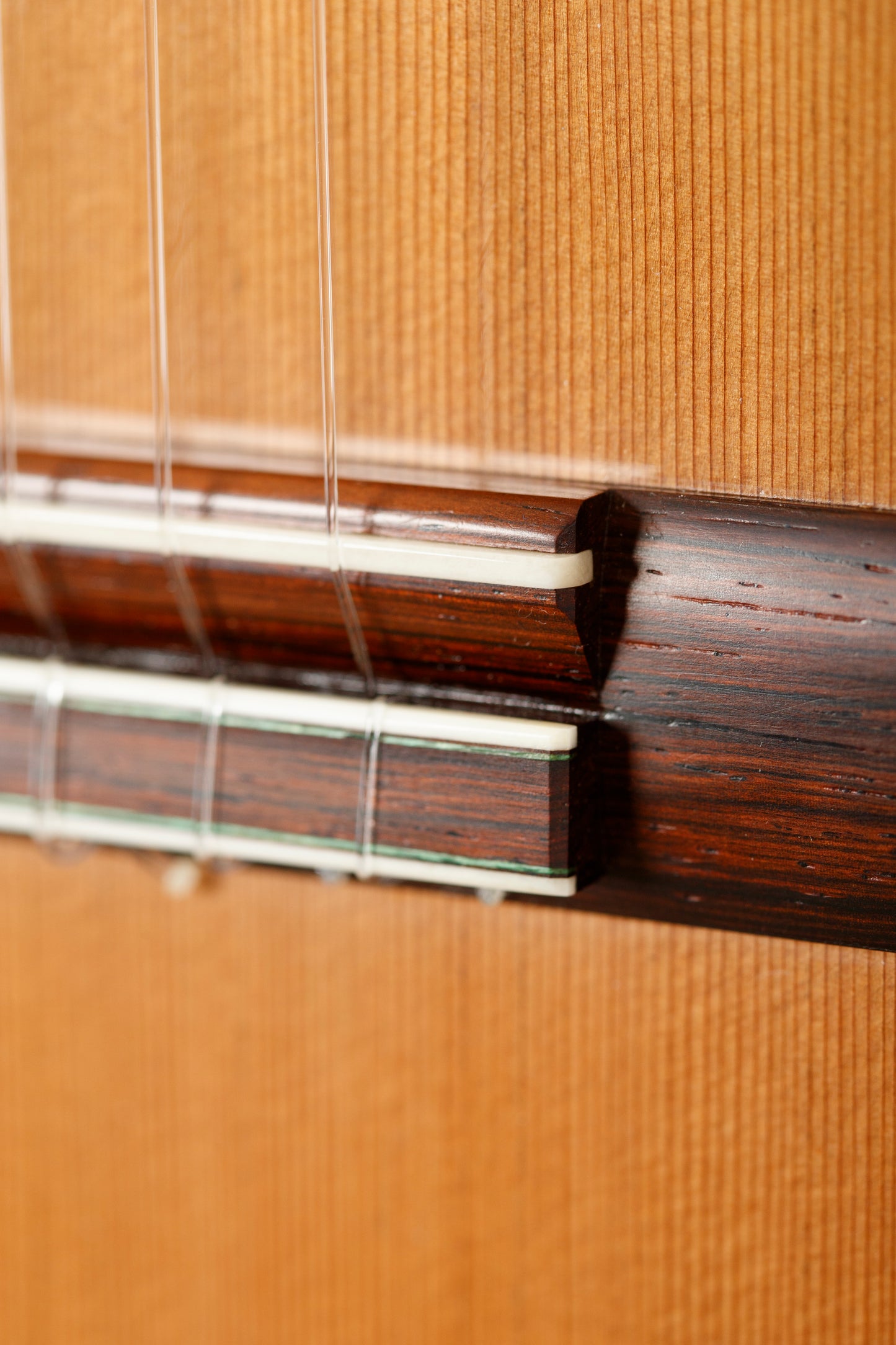 Jeffrey Elliott – 2020 Cedar / Brazilian Rosewood Classical Guitar