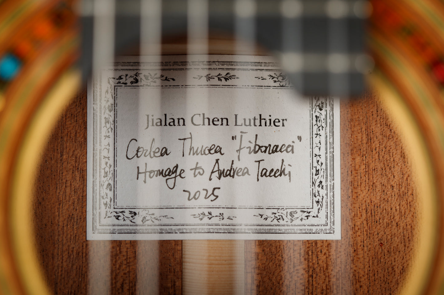 Jialen Chen “Coclea Thucea” 2025