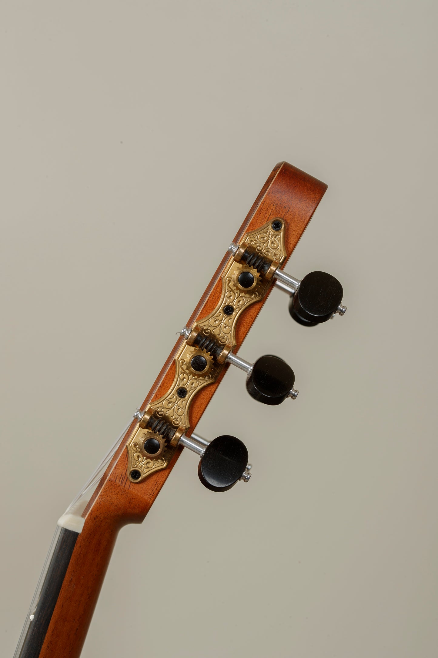 Max Cuker 2025 Spruce Doubletop