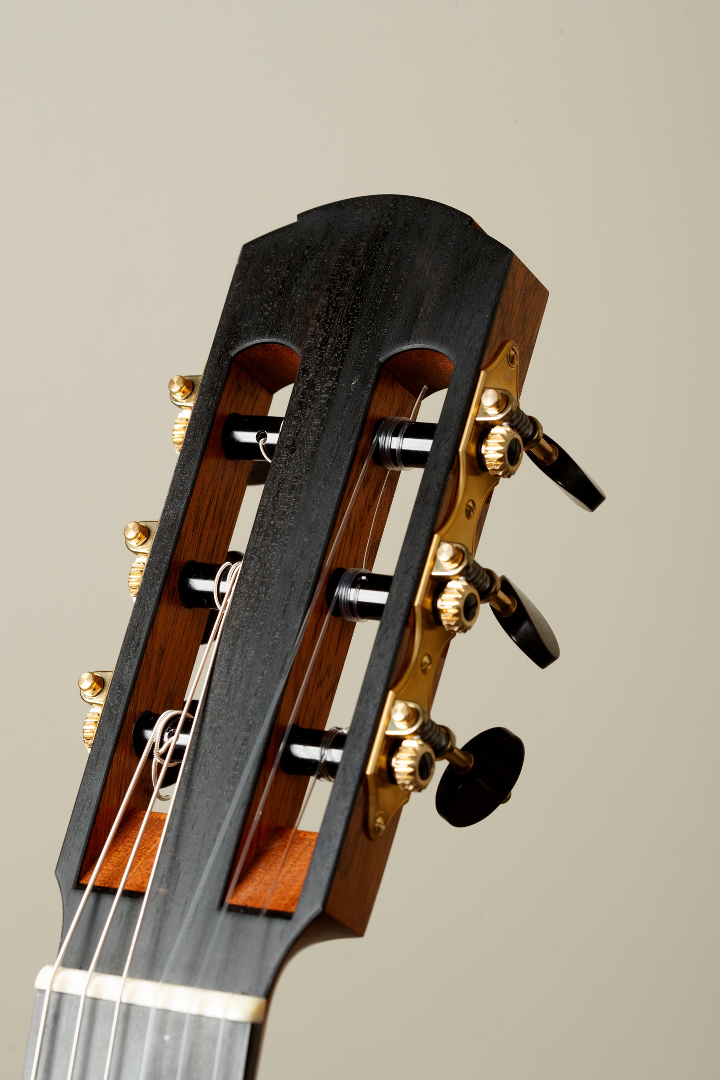 Dennis Tolz 2024 Spruce / Madagascar Rosewood