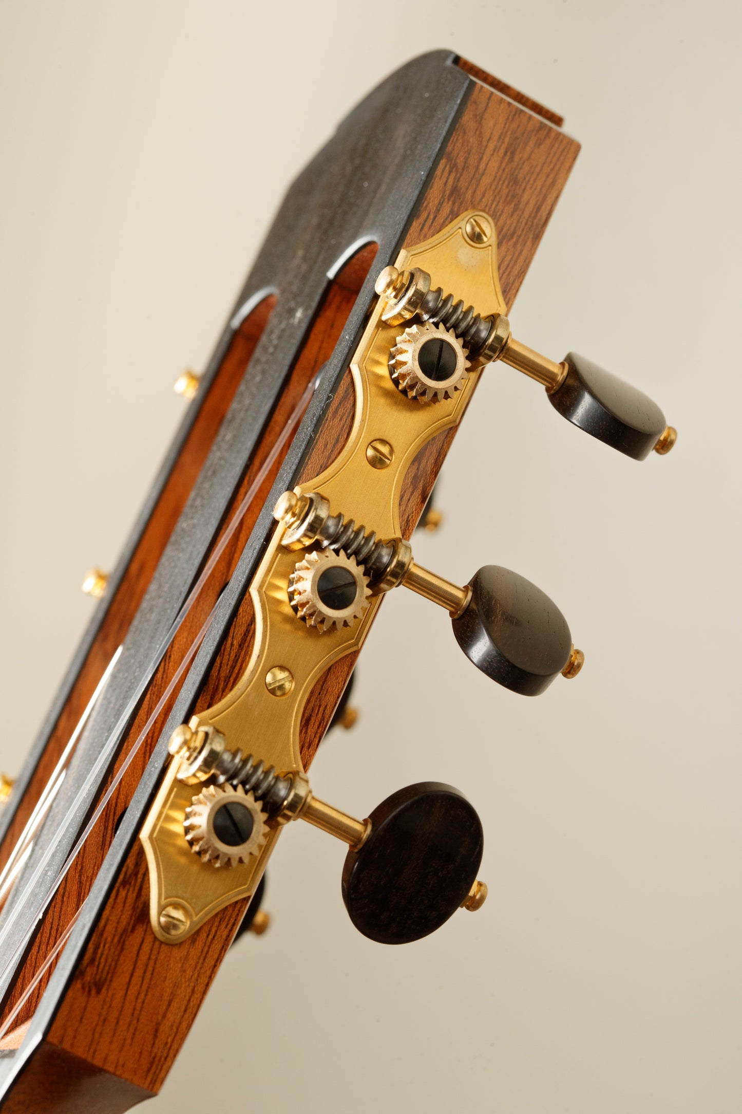 Dennis Tolz 2024 Spruce / Madagascar Rosewood