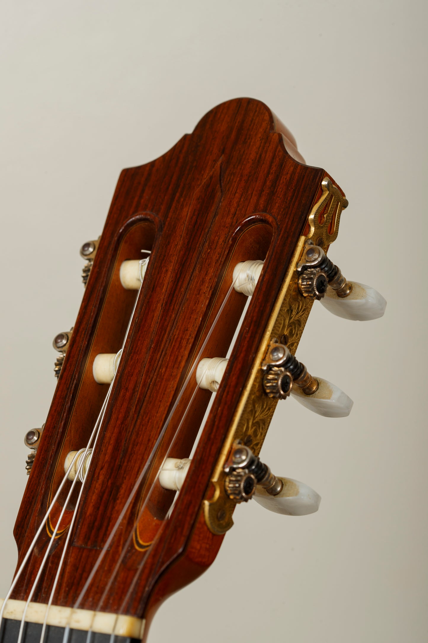 Daniel Friederich 1981 (No. 525) – Cedar / Indian Rosewood
