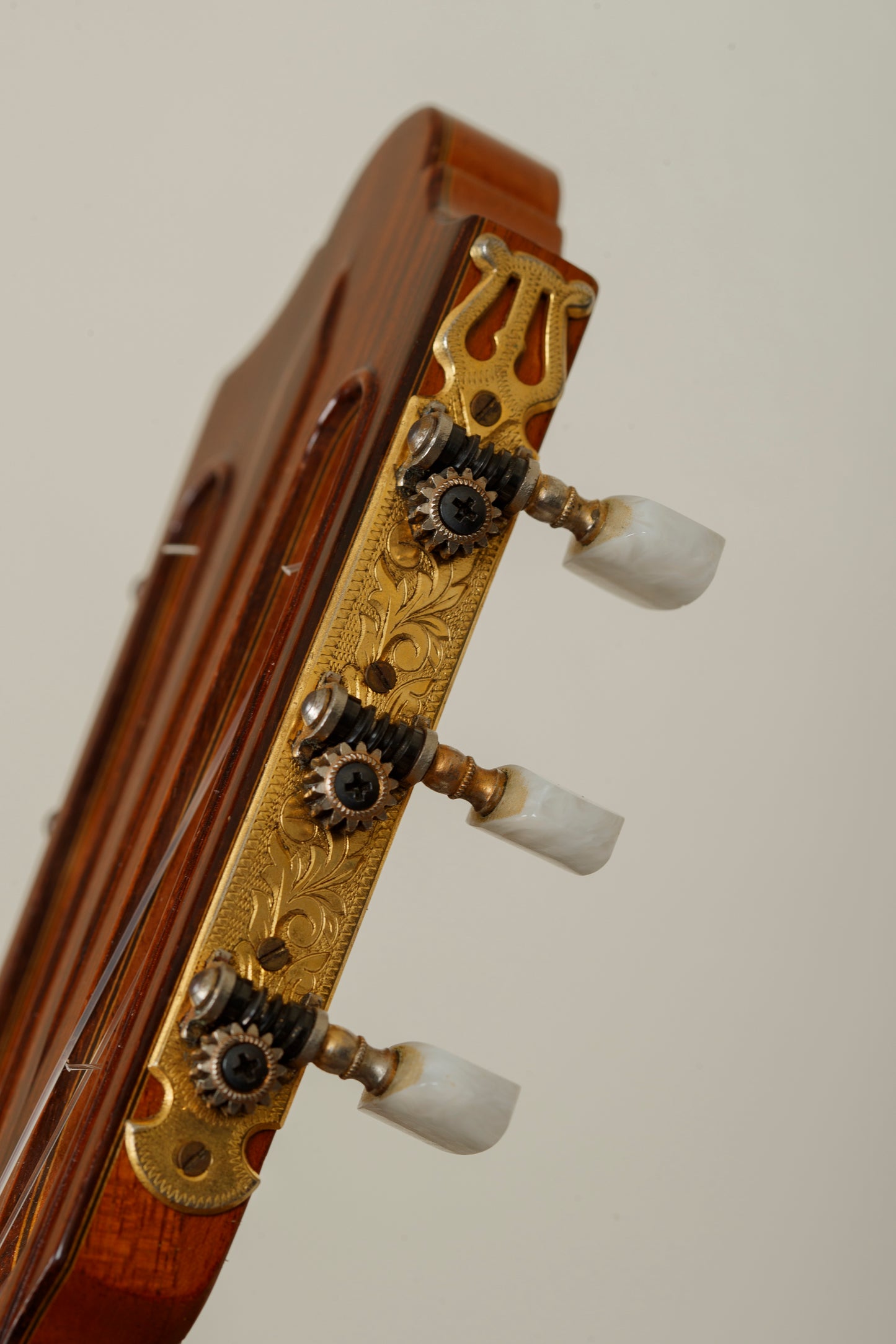 Daniel Friederich 1981 (No. 525) – Cedar / Indian Rosewood