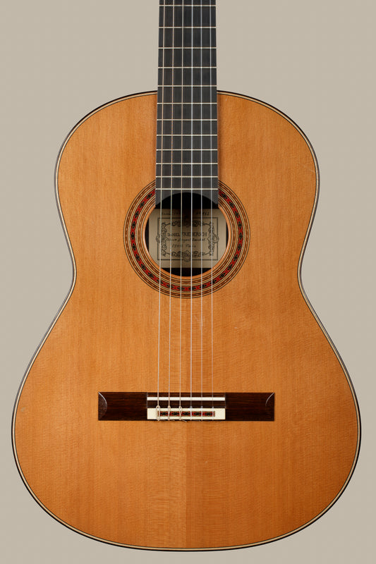 Daniel Friederich 2012 Cedar / Indian Rosewood Classical Guitar