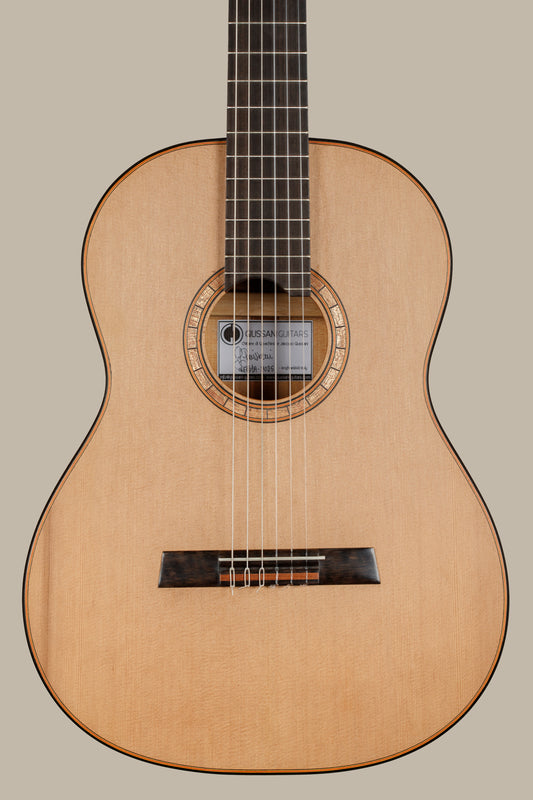 Gioachino Giussani – 2025 | Cedar/Lattice Braced | Cypress Back & Sides | Doubled Sides | Soundport Tornavoz