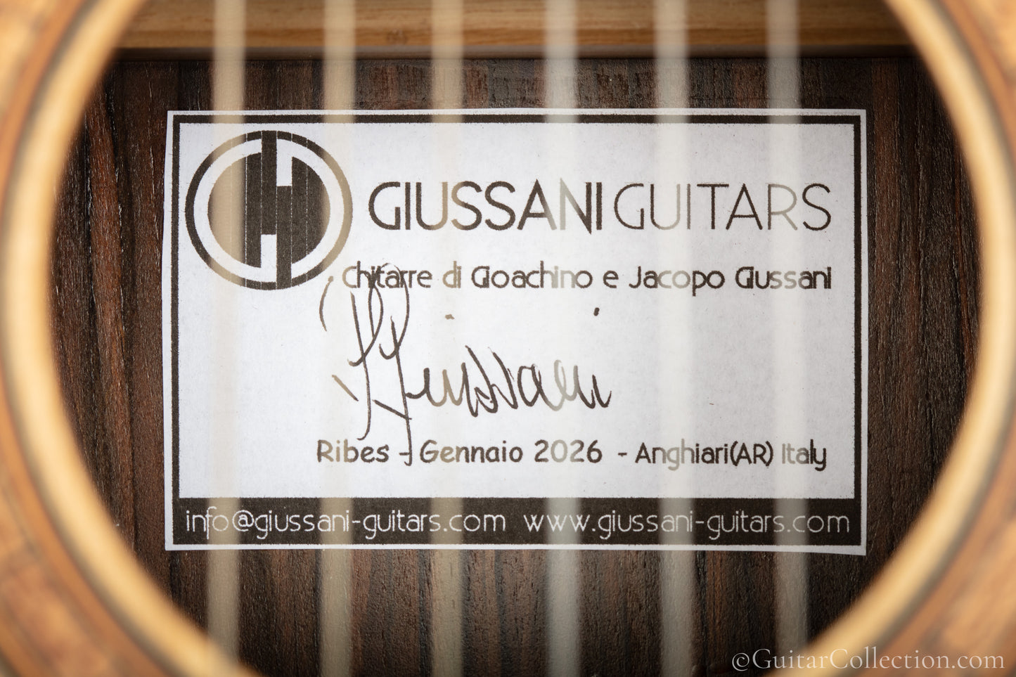 Giussani Spruce 2026