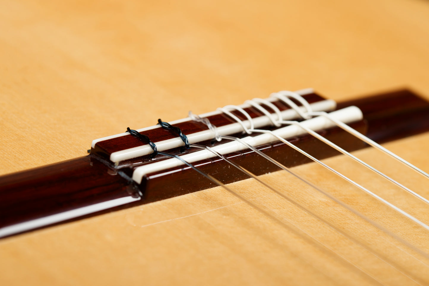 Kathrin Hauser Spruce/Brazilian Rosewood 2024