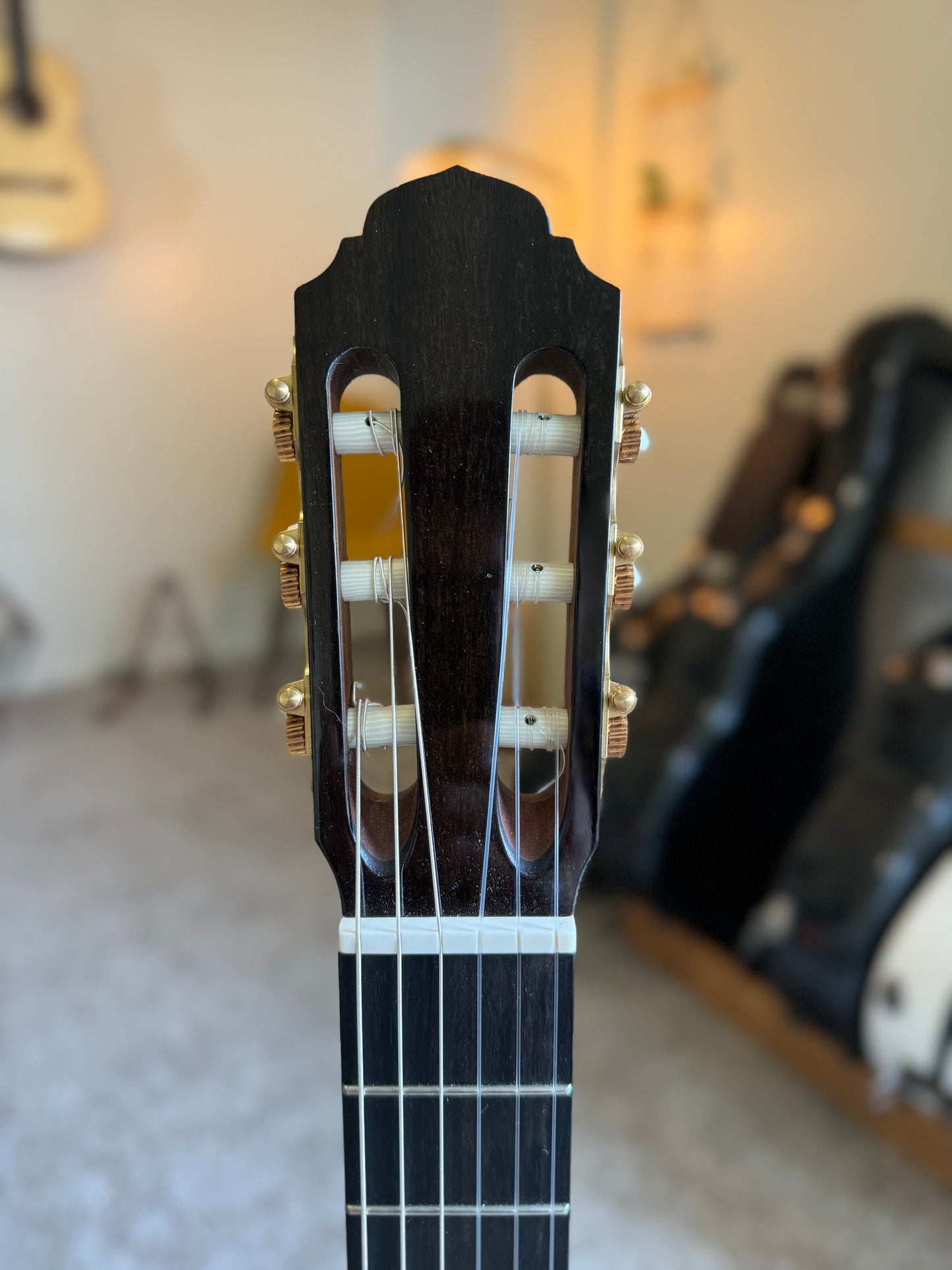 Carsten Kobs 2023 Spruce Doubletop