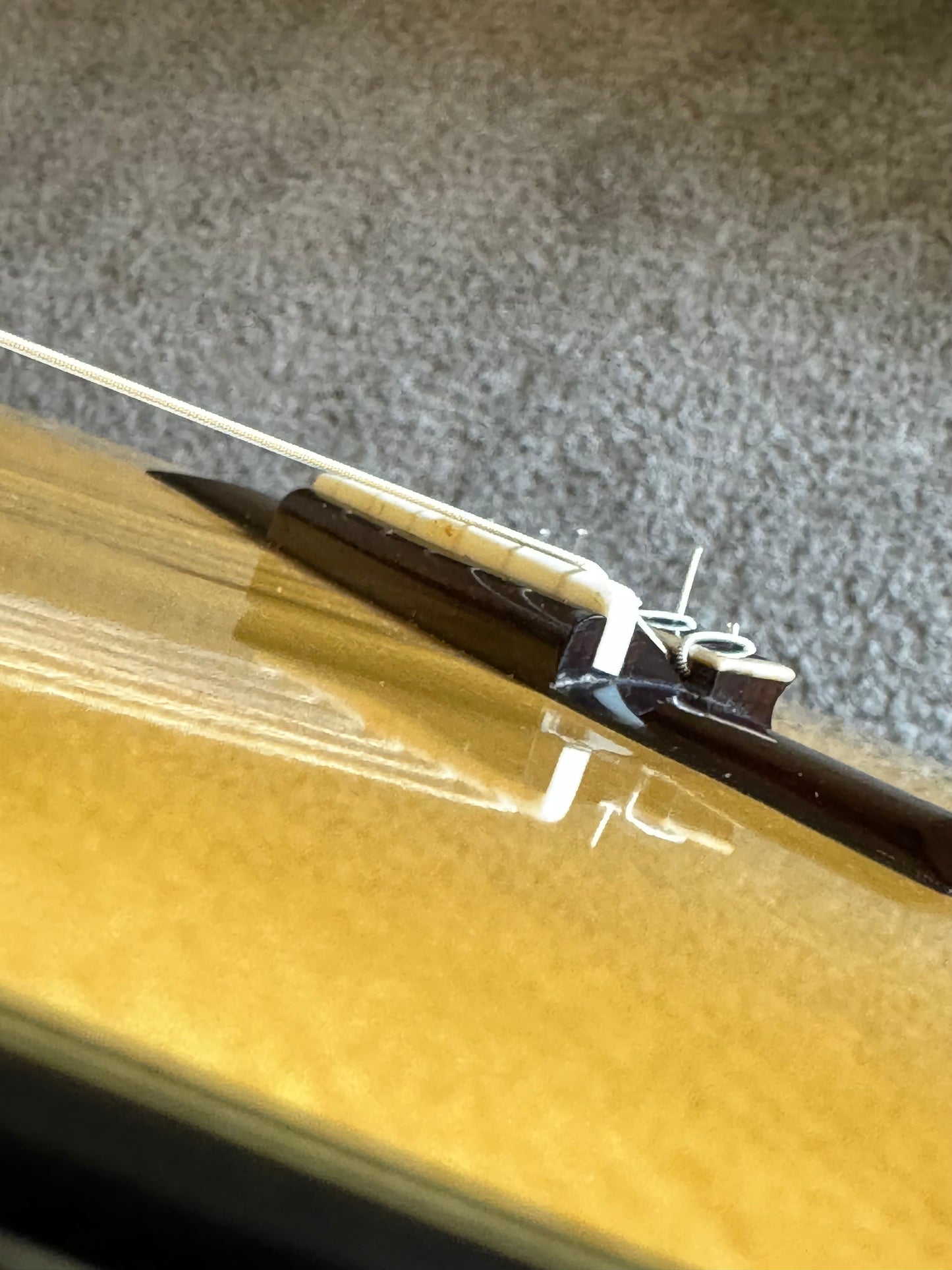 Carsten Kobs 2023 Spruce Doubletop