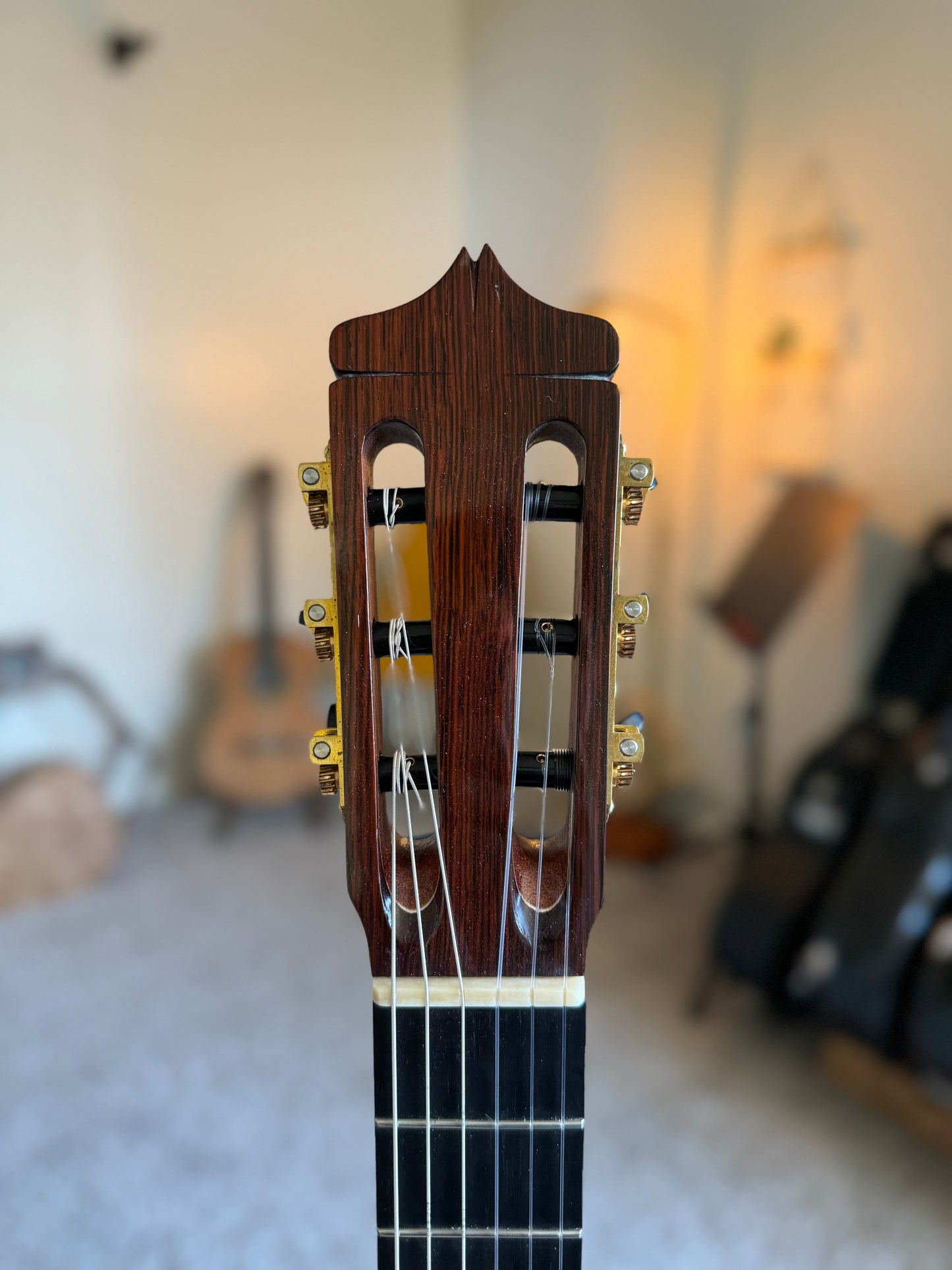Dake Traphagen 2022 640 Scale Spruce