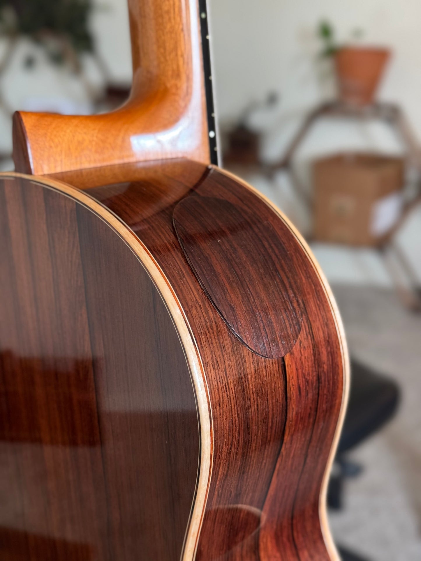 Stephan Connor Cedar/Madagascar Doubletop 2023
