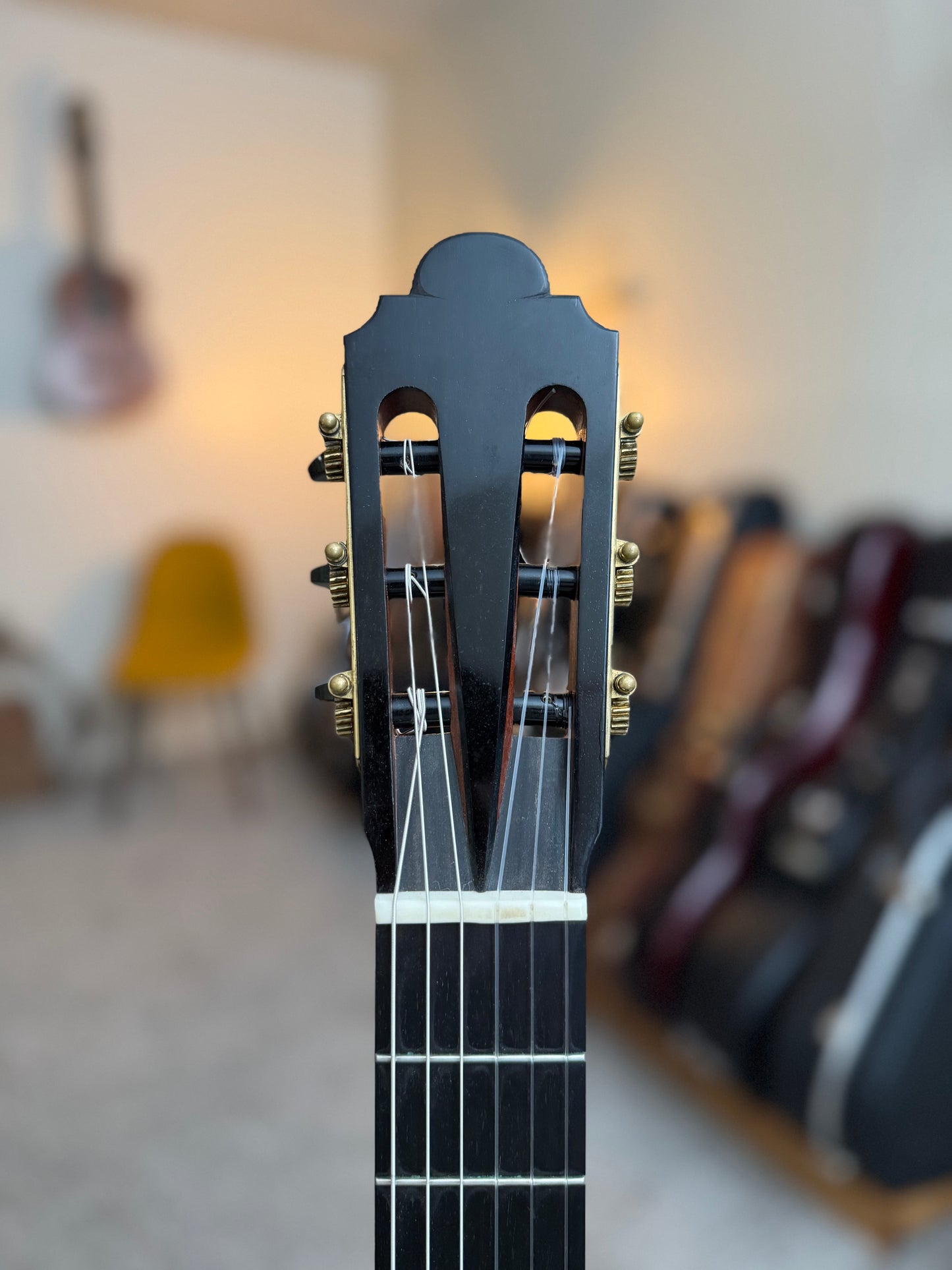 Philip Woodfield 2016 Spruce/Cocobolo