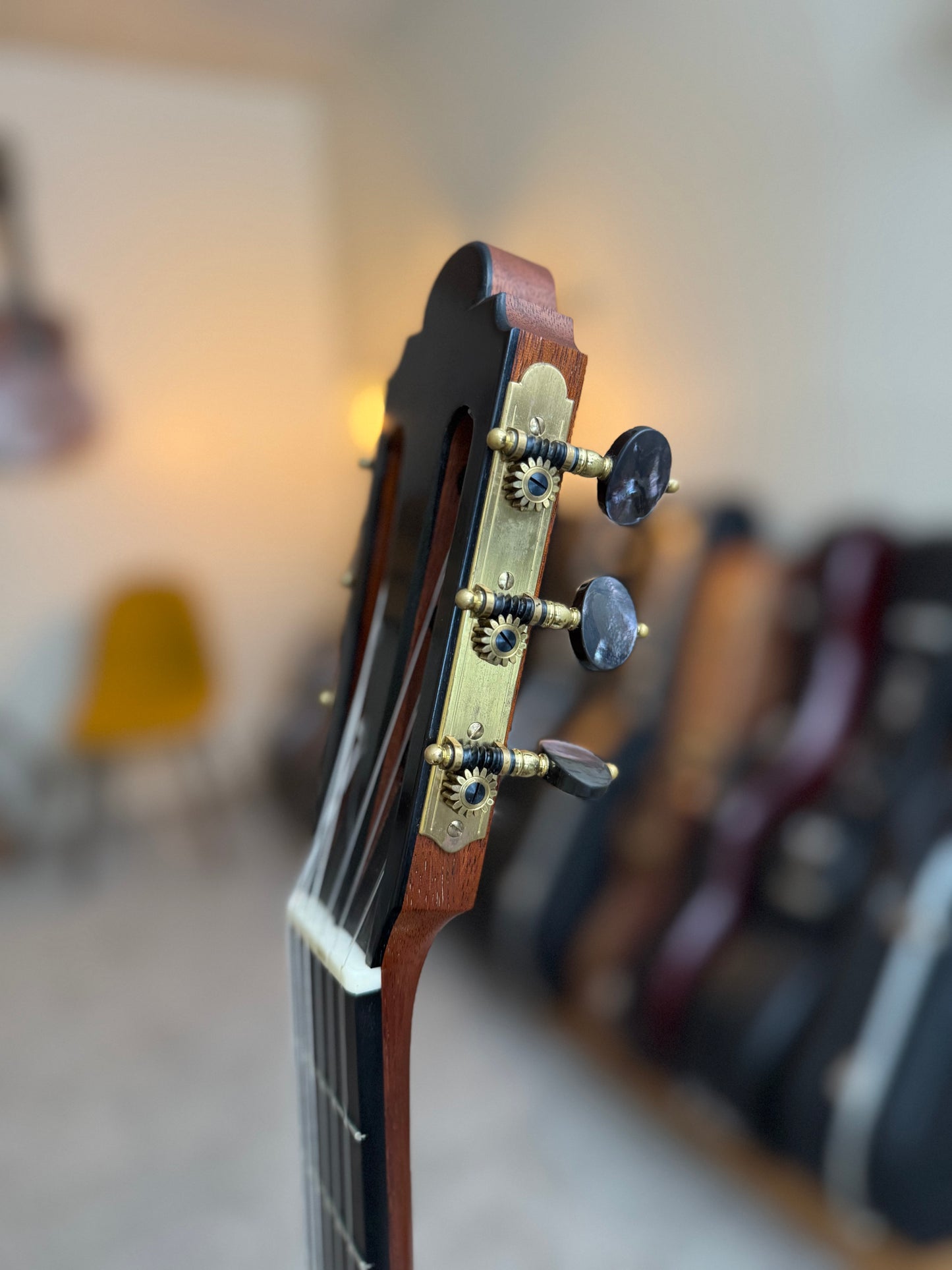 Philip Woodfield 2016 Spruce/Cocobolo