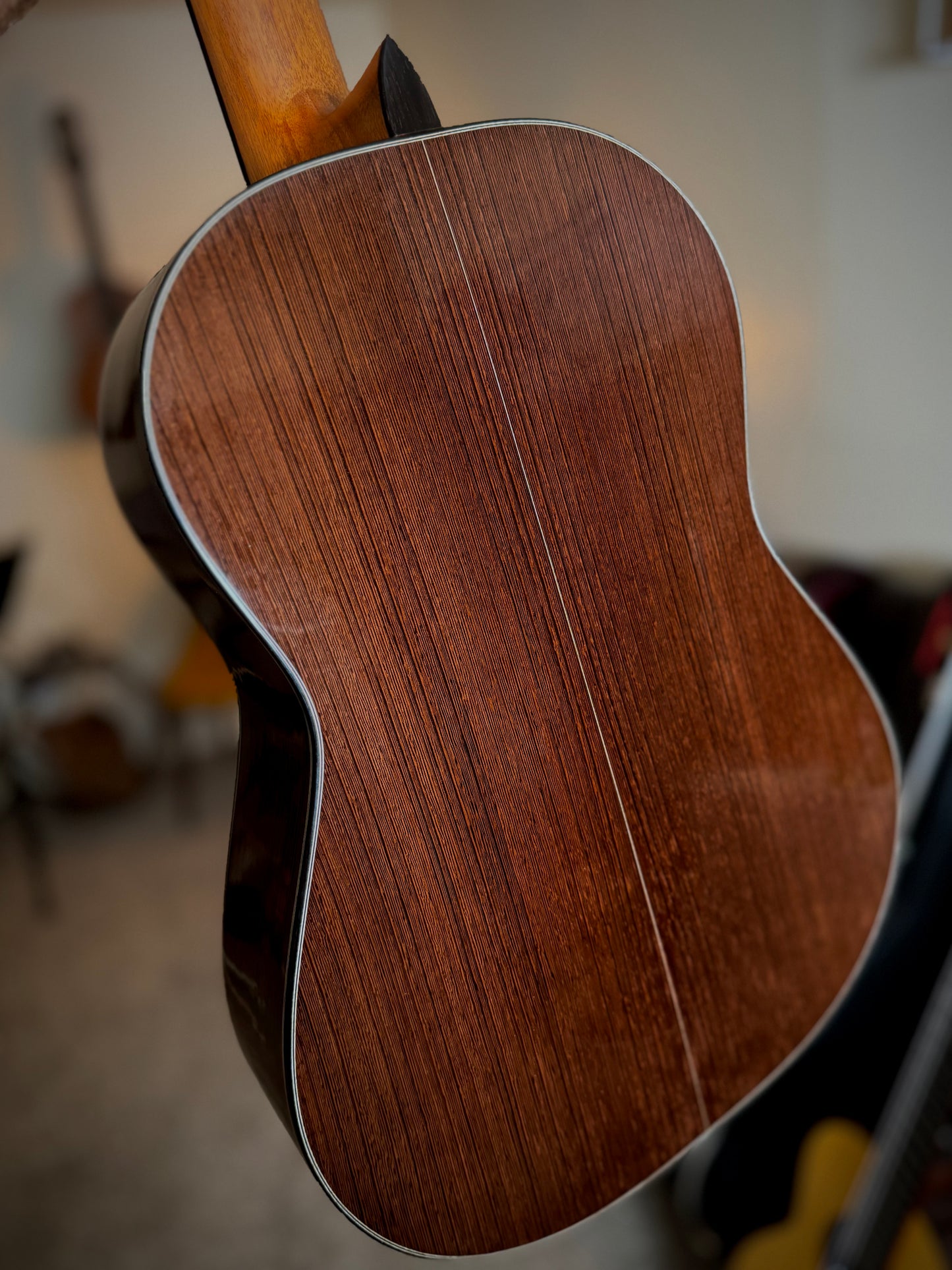 Jialan Chen 2024 Coclea Thucea "Fibonacci" Homage to Andrea Tacchi
