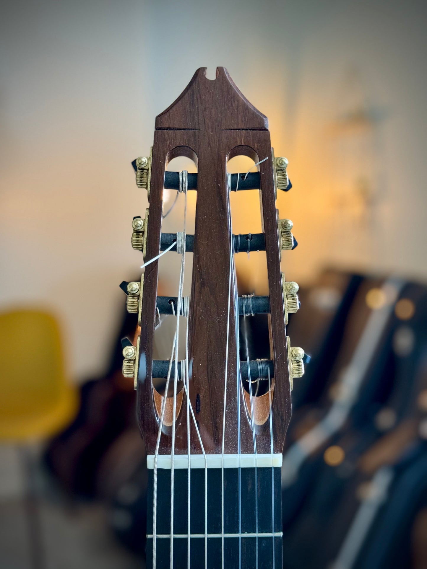Jeff Sigurdson 8-String Doubletop 2021 - "Ex. Drew Henderson"