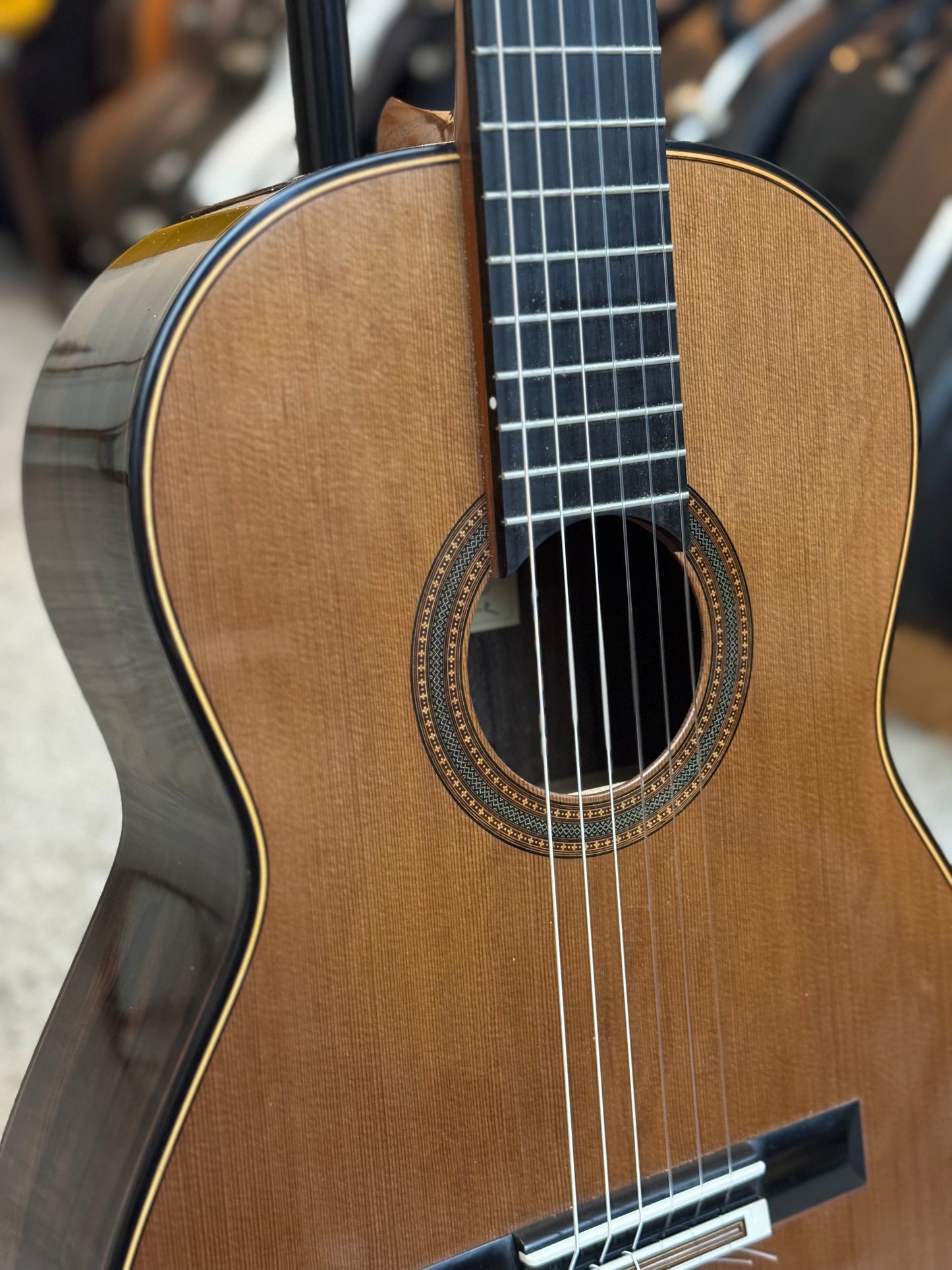 Michel Brück Cedar Doubletop 2021