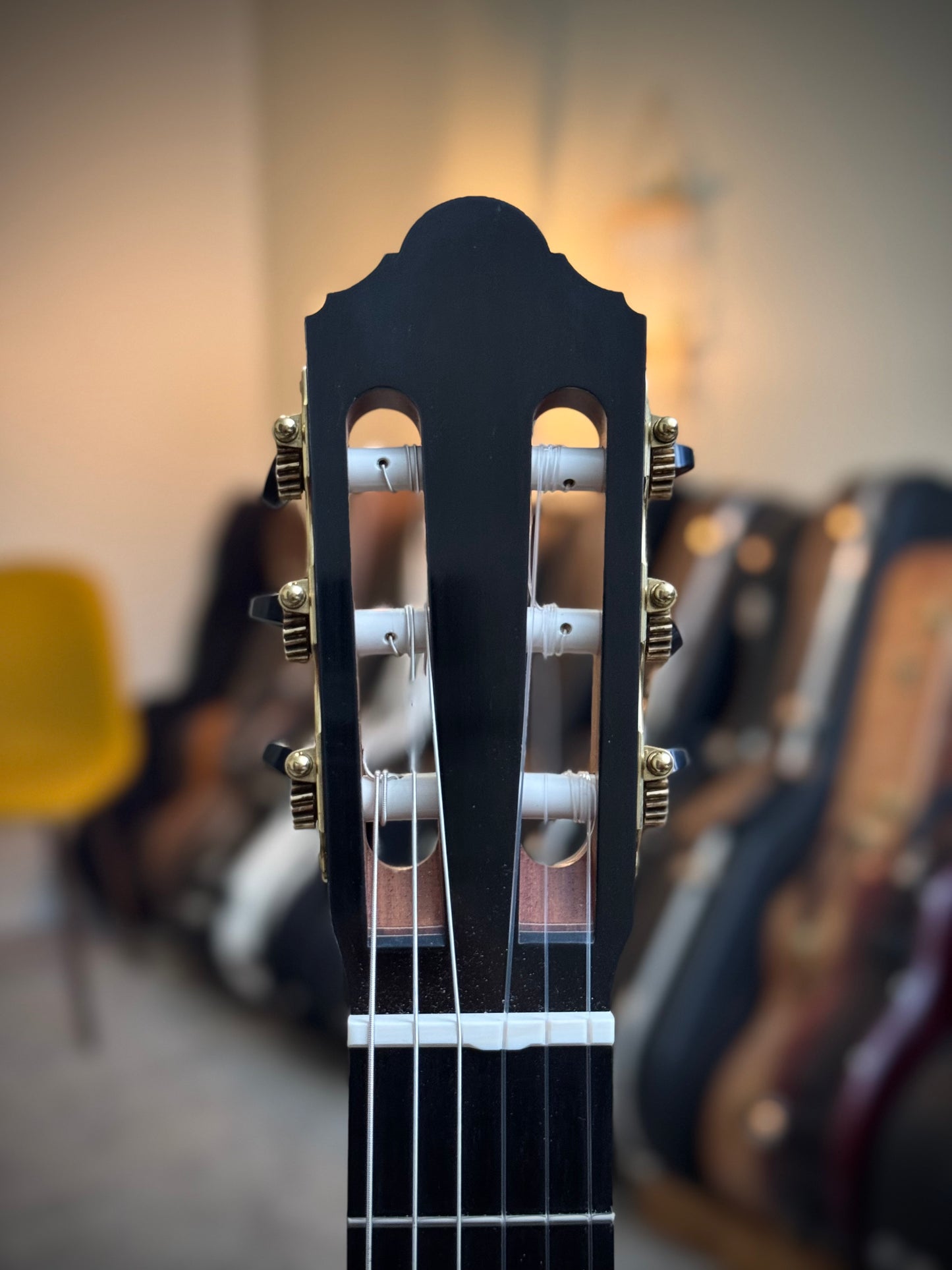 Michel Brück Cedar Doubletop 2021