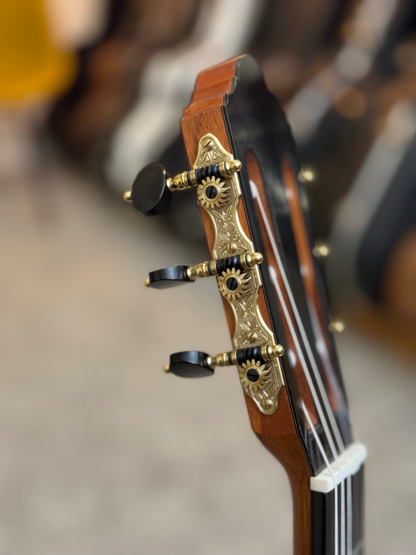 Michel Brück Cedar Doubletop 2021