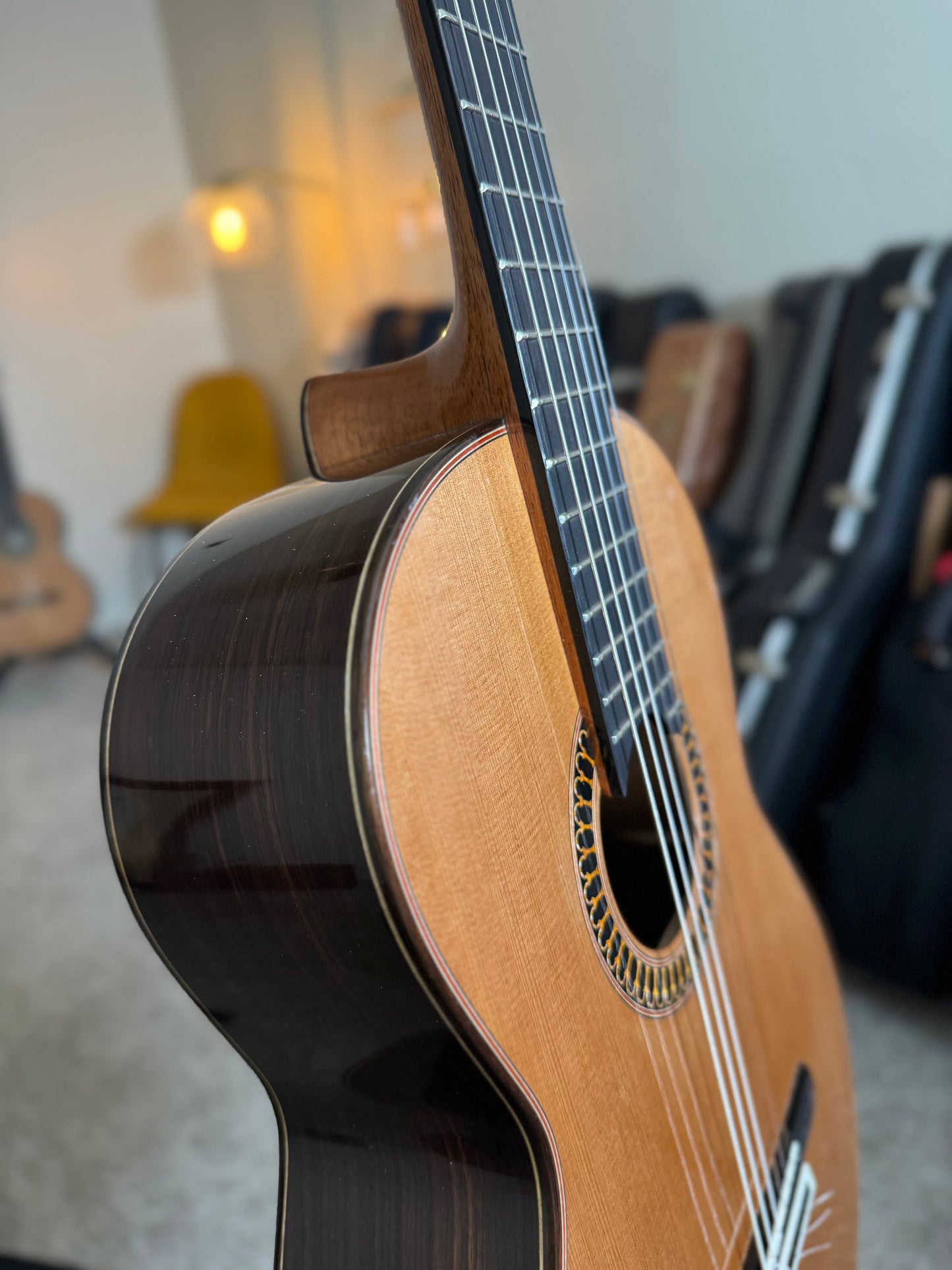 Yulong Guo "Philharmonic" Cedar Doubletop - NEW