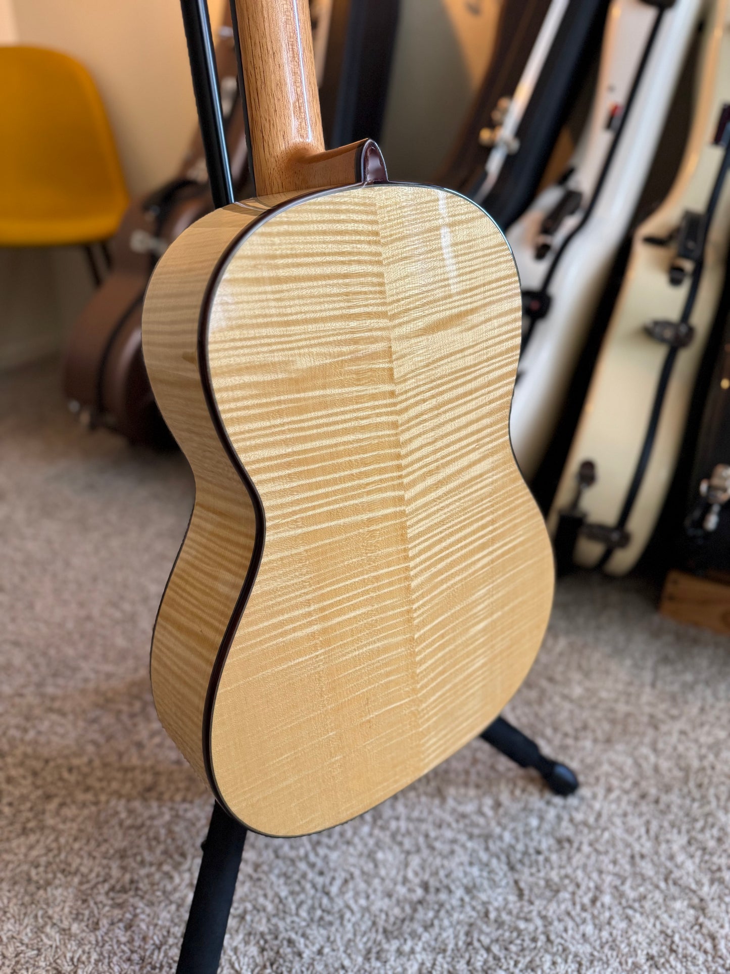 Adrian Heinzelmann Spruce/Maple "Groove Top" 2024