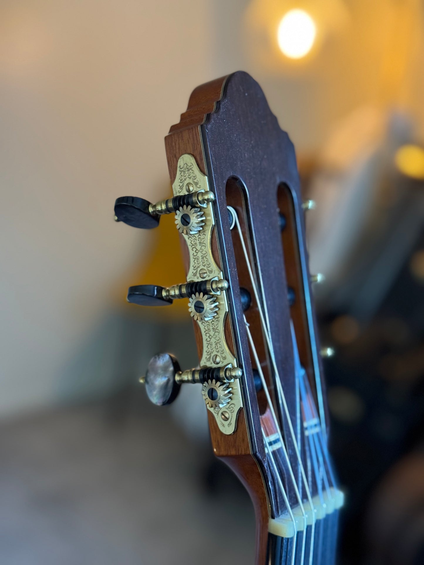 Antonius Müller Cedar Doubletop | 2019 Classical Guitar