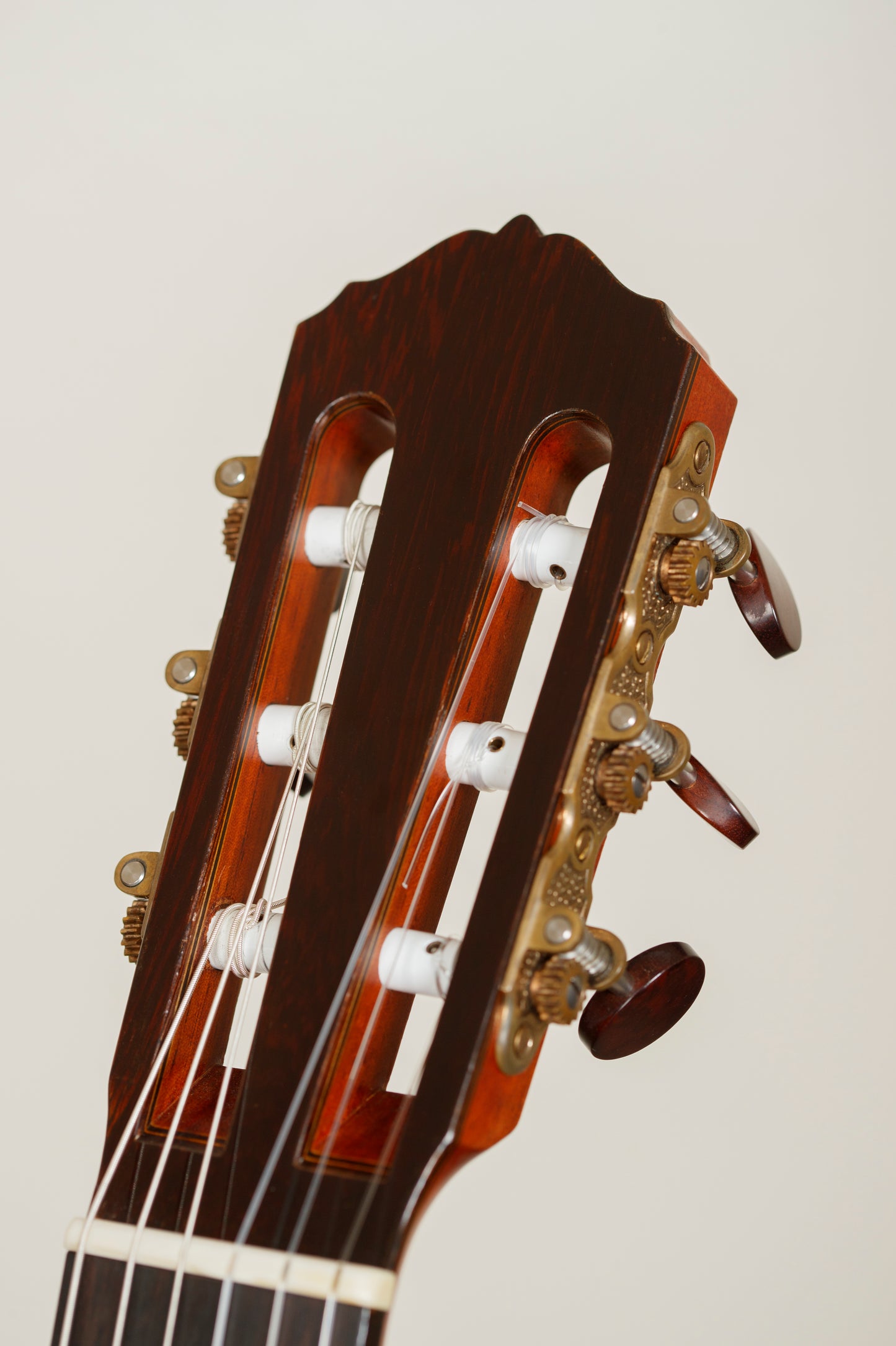 Julian Dammann 2015 Cedar