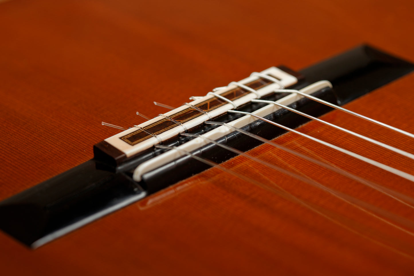 Julian Dammann 2015 Cedar