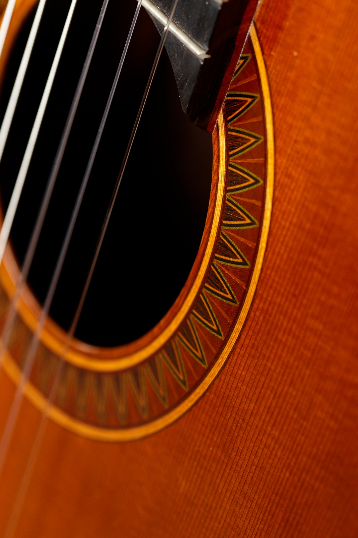 Julian Dammann 2015 Cedar