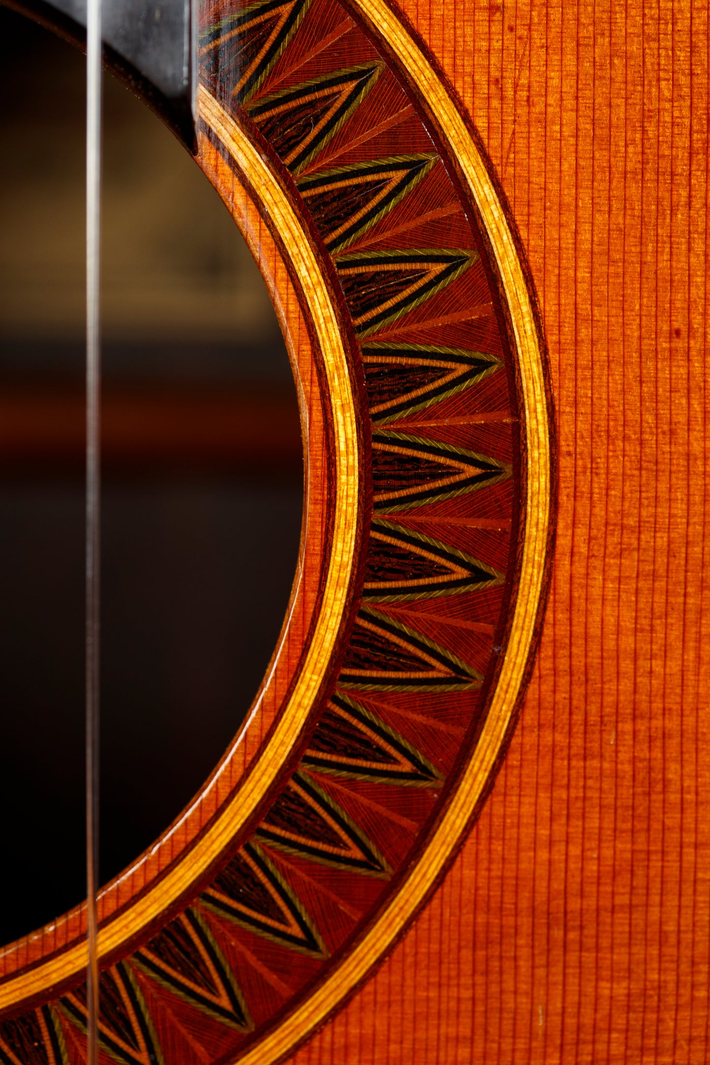 Julian Dammann 2015 Cedar
