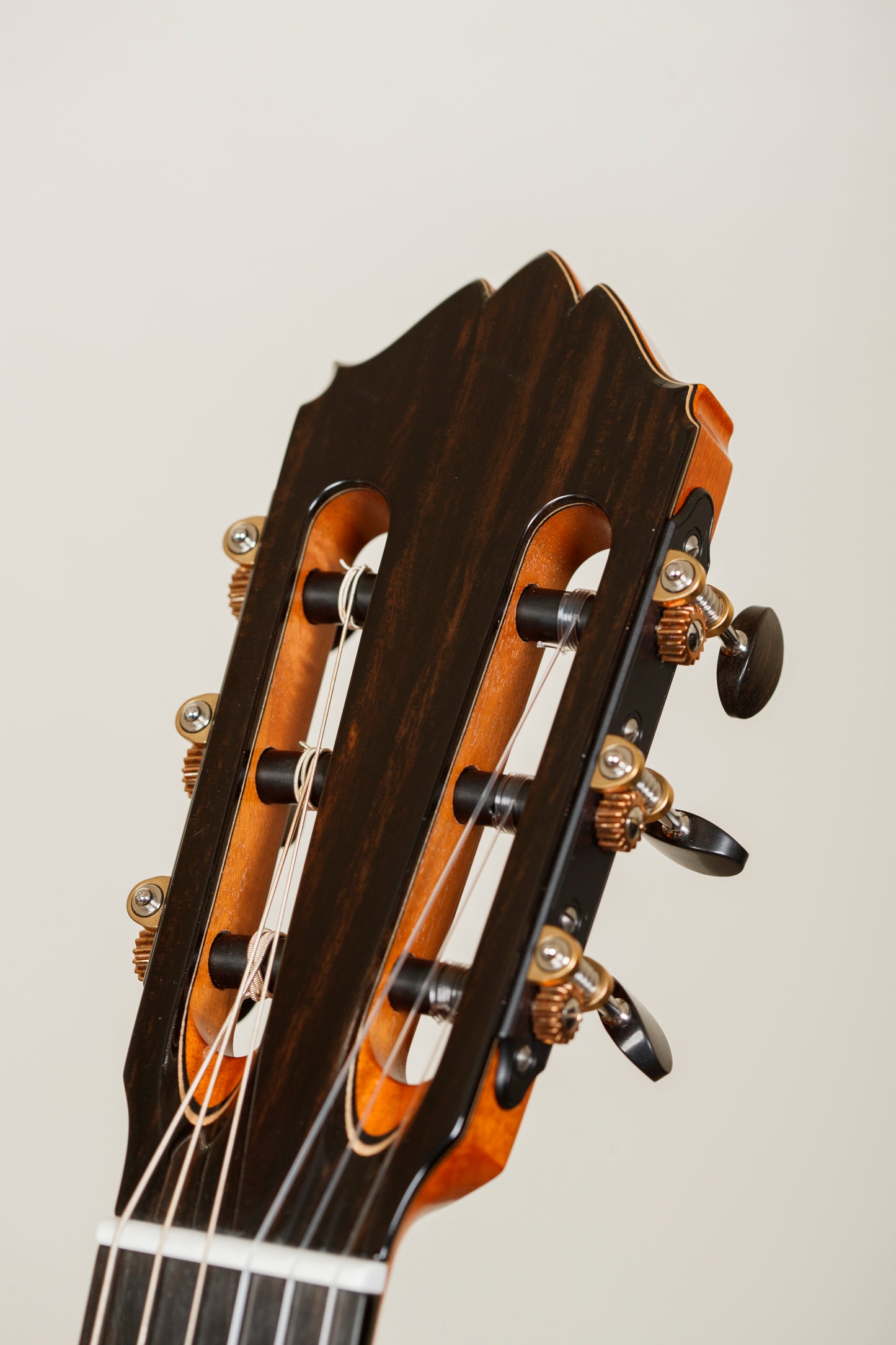 Kim Lissarrague 2023 – Cedar / Ziricote Lattice
