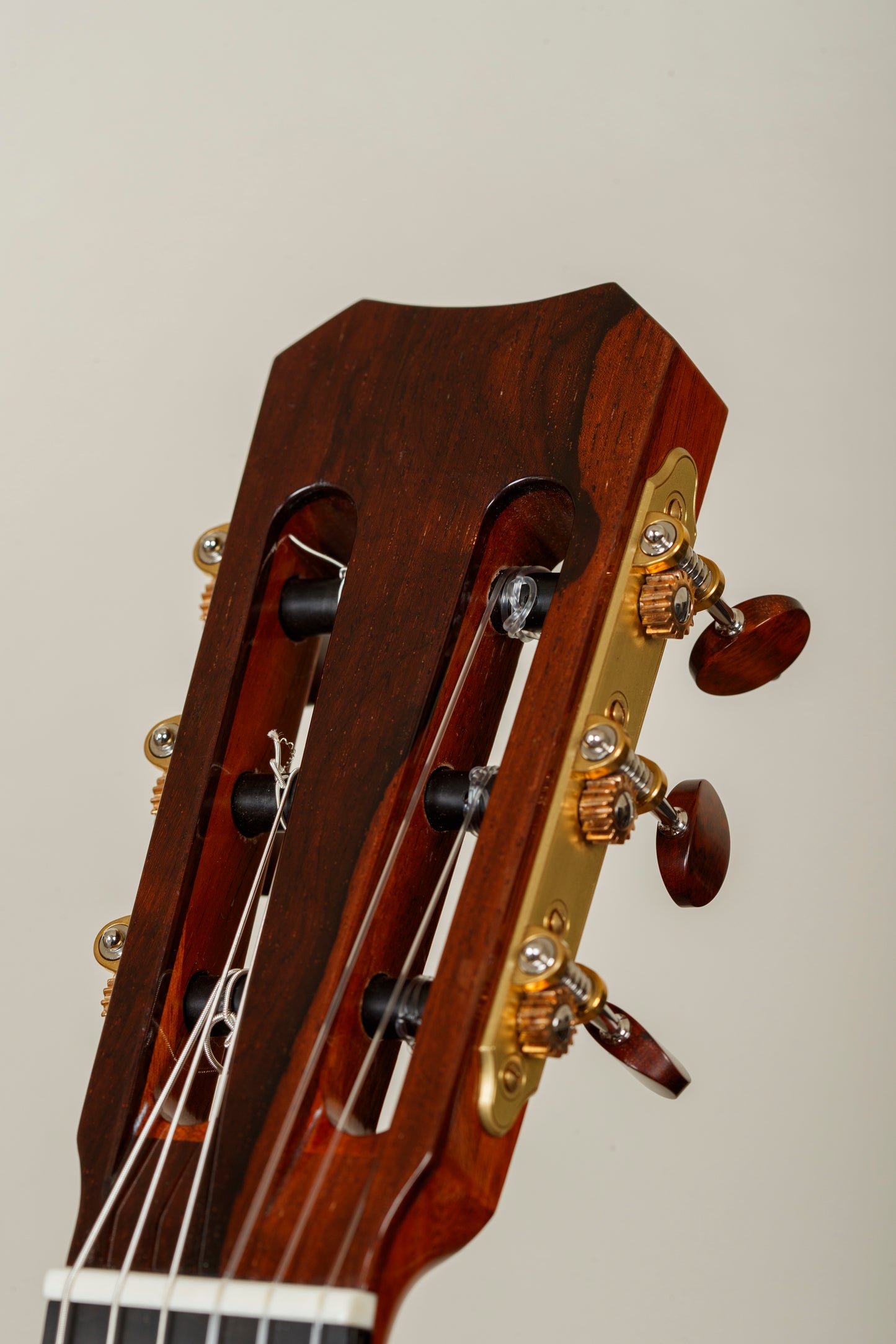 Simon Marty 2024 Cedar/Wenge
